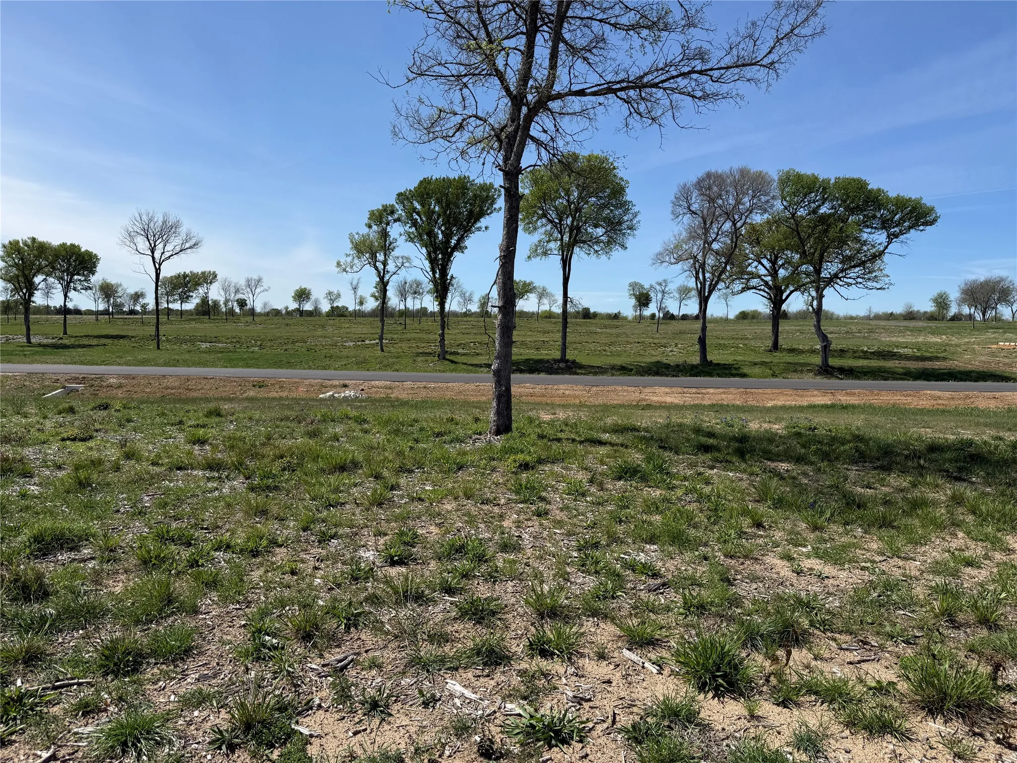Unimproved Land For Sale in Navarro County , 174 Serene Way, Richland, Texas 76681, 0, 0, Garage spaces, 0 Sqft, built in 0, Price $340,000, mls#21208041, Real Estate Agent in Richland, Homes For Sale in Navarro county, Homes For Sale in Richland, Realtor in Richland Texas, Real Estate Brokerage Independent Realty Texas, Luminita Cordes Realtor