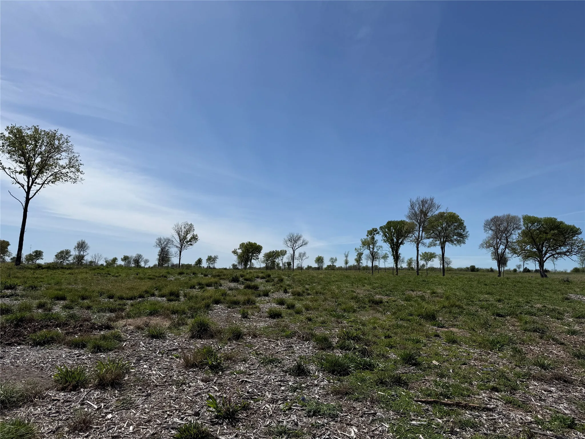 Unimproved Land For Sale in Navarro County , 174 Serene Way, Richland, Texas 76681, 0, 0, Garage spaces, 0 Sqft, built in 0, Price $340,000, mls#21208041, Real Estate Agent in Richland, Homes For Sale in Navarro county, Homes For Sale in Richland, Realtor in Richland Texas, Real Estate Brokerage Independent Realty Texas, Luminita Cordes Realtor