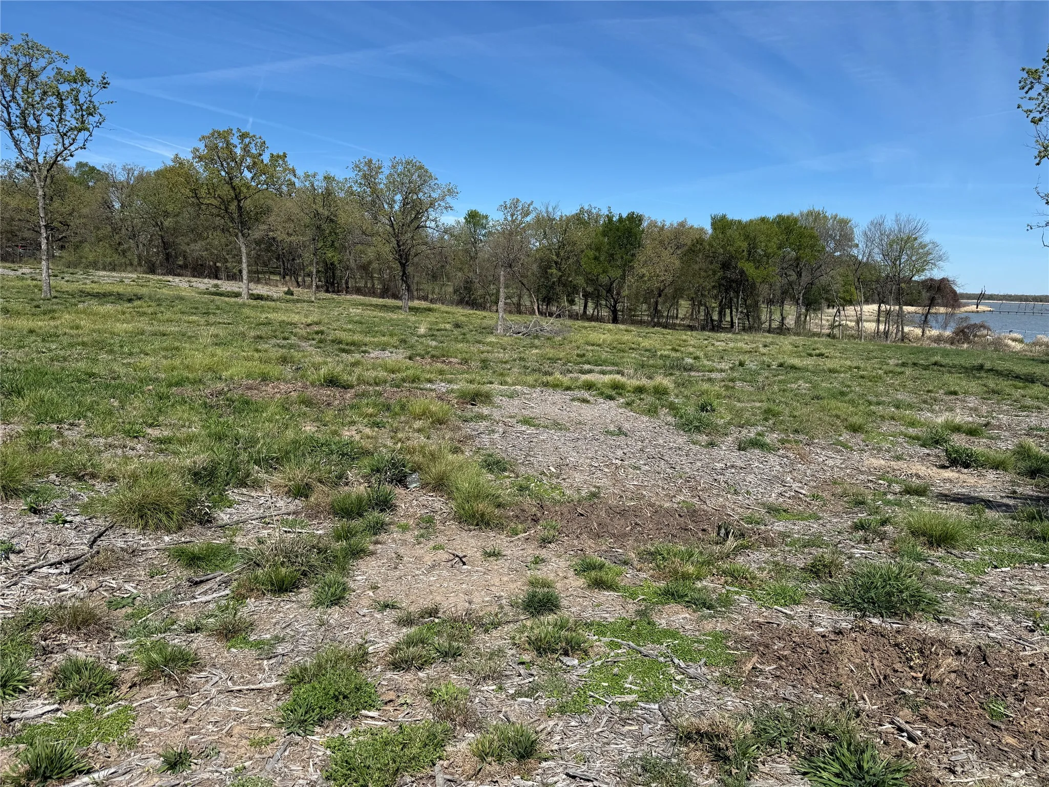 Unimproved Land For Sale in Navarro County , 174 Serene Way, Richland, Texas 76681, 0, 0, Garage spaces, 0 Sqft, built in 0, Price $340,000, mls#21208041, Real Estate Agent in Richland, Homes For Sale in Navarro county, Homes For Sale in Richland, Realtor in Richland Texas, Real Estate Brokerage Independent Realty Texas, Luminita Cordes Realtor