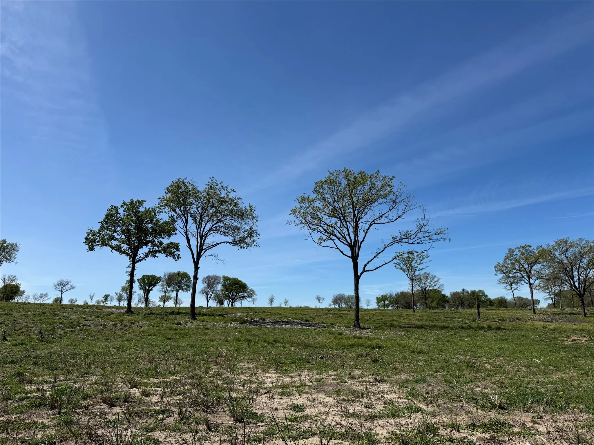 Unimproved Land For Sale in Navarro County , 174 Serene Way, Richland, Texas 76681, 0, 0, Garage spaces, 0 Sqft, built in 0, Price $340,000, mls#21208041, Real Estate Agent in Richland, Homes For Sale in Navarro county, Homes For Sale in Richland, Realtor in Richland Texas, Real Estate Brokerage Independent Realty Texas, Luminita Cordes Realtor