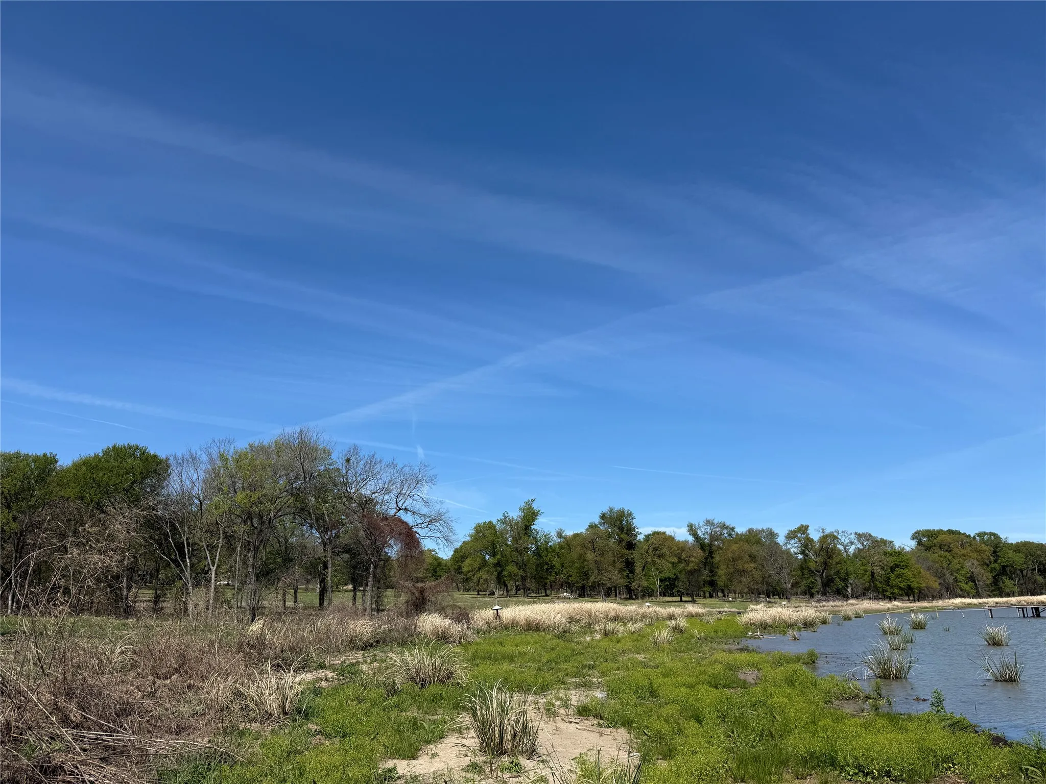 Unimproved Land For Sale in Navarro County , 174 Serene Way, Richland, Texas 76681, 0, 0, Garage spaces, 0 Sqft, built in 0, Price $340,000, mls#21208041, Real Estate Agent in Richland, Homes For Sale in Navarro county, Homes For Sale in Richland, Realtor in Richland Texas, Real Estate Brokerage Independent Realty Texas, Luminita Cordes Realtor