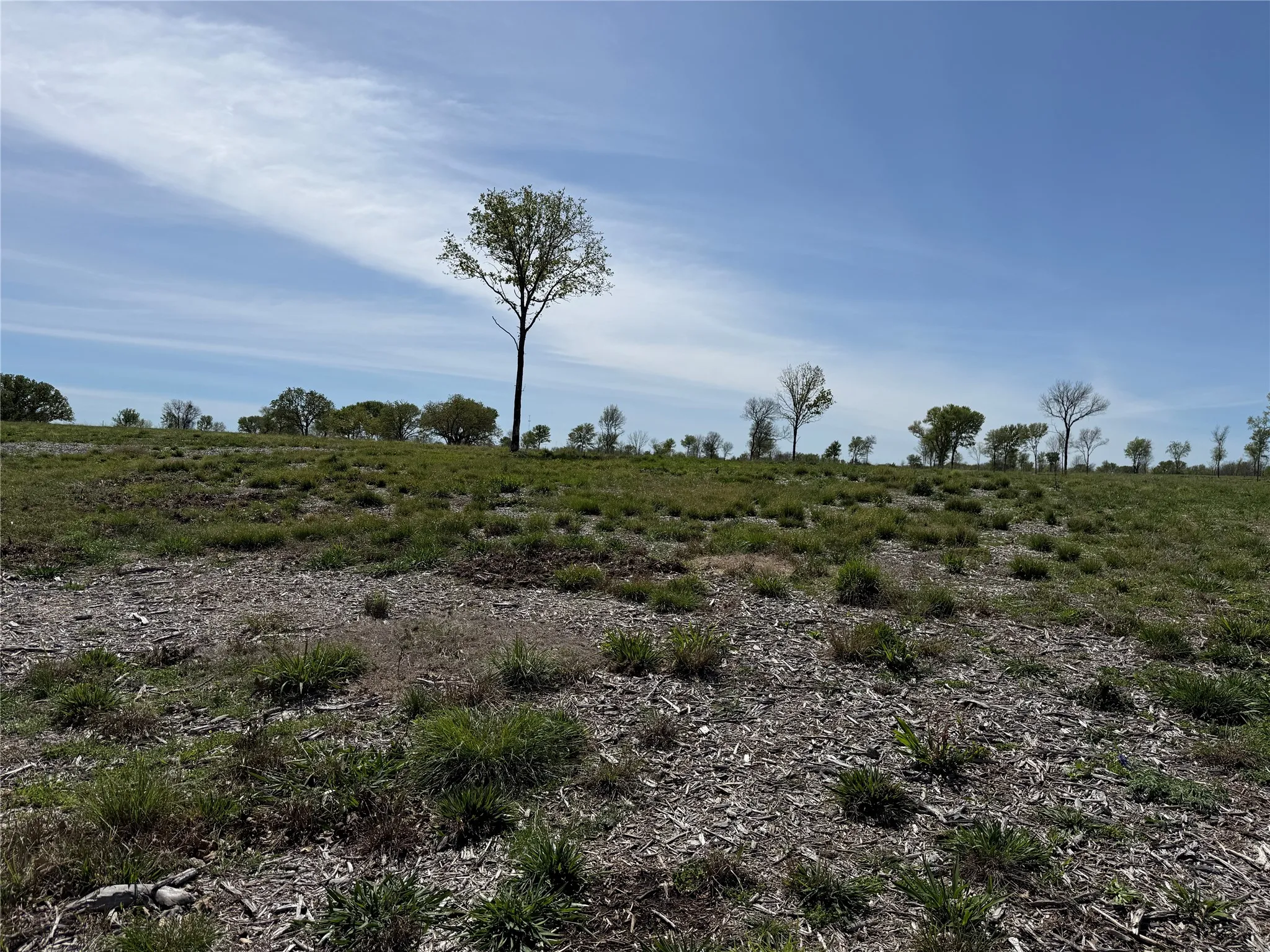 Unimproved Land For Sale in Navarro County , 174 Serene Way, Richland, Texas 76681, 0, 0, Garage spaces, 0 Sqft, built in 0, Price $340,000, mls#21208041, Real Estate Agent in Richland, Homes For Sale in Navarro county, Homes For Sale in Richland, Realtor in Richland Texas, Real Estate Brokerage Independent Realty Texas, Luminita Cordes Realtor