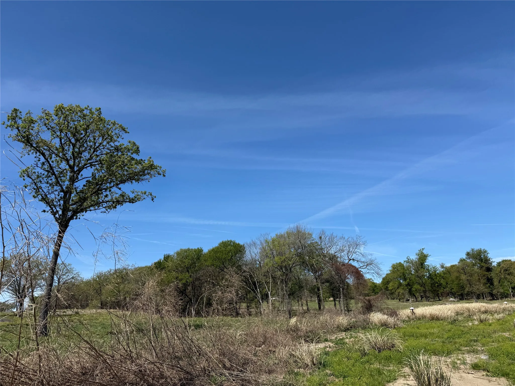 Unimproved Land For Sale in Navarro County , 174 Serene Way, Richland, Texas 76681, 0, 0, Garage spaces, 0 Sqft, built in 0, Price $340,000, mls#21208041, Real Estate Agent in Richland, Homes For Sale in Navarro county, Homes For Sale in Richland, Realtor in Richland Texas, Real Estate Brokerage Independent Realty Texas, Luminita Cordes Realtor
