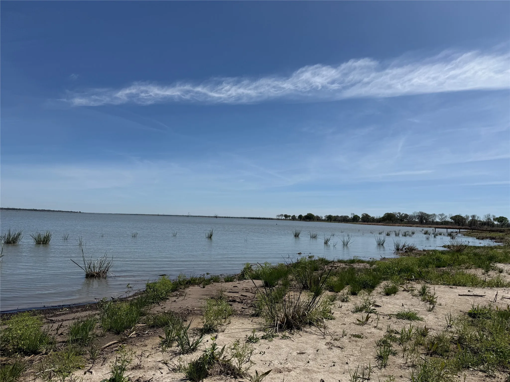 Unimproved Land For Sale in Navarro County , 174 Serene Way, Richland, Texas 76681, 0, 0, Garage spaces, 0 Sqft, built in 0, Price $340,000, mls#21208041, Real Estate Agent in Richland, Homes For Sale in Navarro county, Homes For Sale in Richland, Realtor in Richland Texas, Real Estate Brokerage Independent Realty Texas, Luminita Cordes Realtor