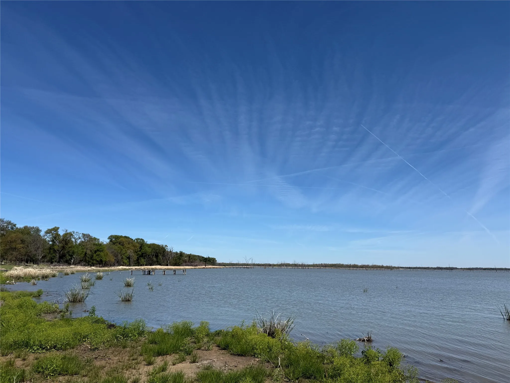 Unimproved Land For Sale in Navarro County , 174 Serene Way, Richland, Texas 76681, 0, 0, Garage spaces, 0 Sqft, built in 0, Price $340,000, mls#21208041, Real Estate Agent in Richland, Homes For Sale in Navarro county, Homes For Sale in Richland, Realtor in Richland Texas, Real Estate Brokerage Independent Realty Texas, Luminita Cordes Realtor