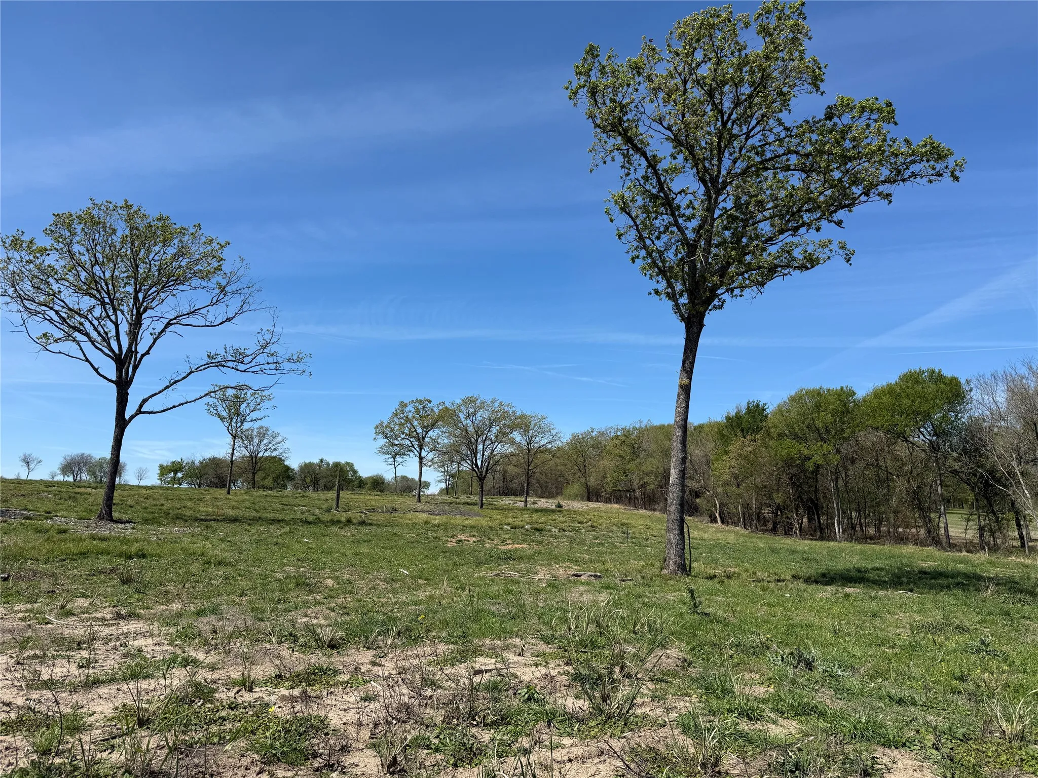 Unimproved Land For Sale in Navarro County , 174 Serene Way, Richland, Texas 76681, 0, 0, Garage spaces, 0 Sqft, built in 0, Price $340,000, mls#21208041, Real Estate Agent in Richland, Homes For Sale in Navarro county, Homes For Sale in Richland, Realtor in Richland Texas, Real Estate Brokerage Independent Realty Texas, Luminita Cordes Realtor