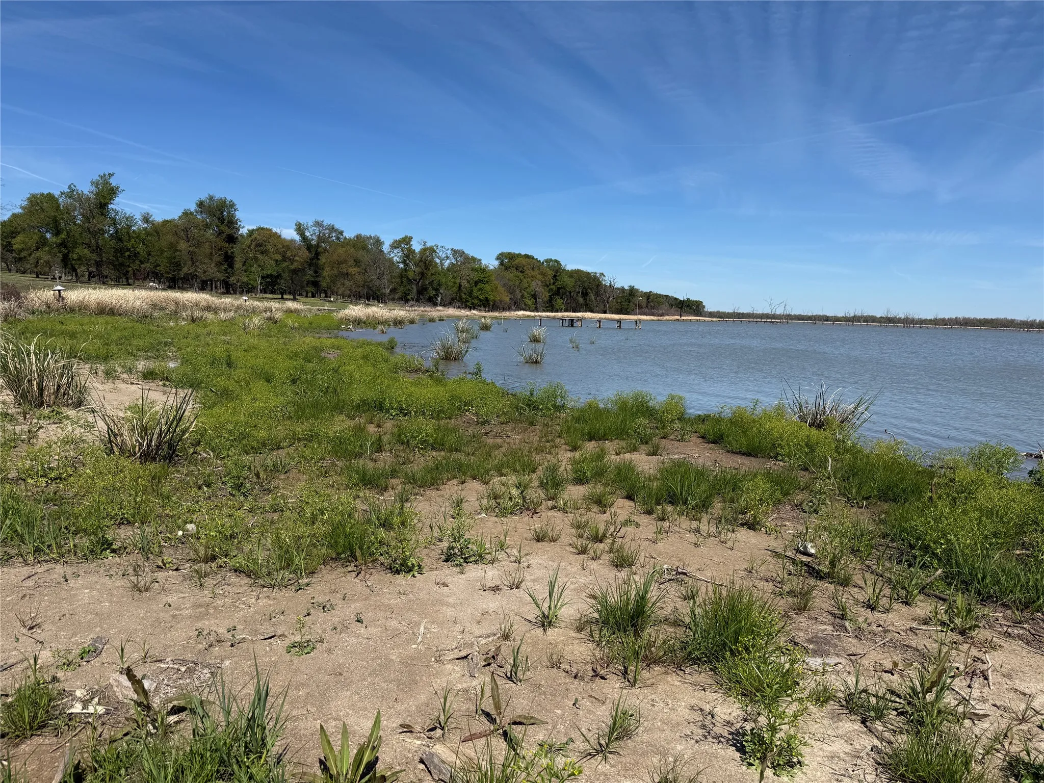 Unimproved Land For Sale in Navarro County , 174 Serene Way, Richland, Texas 76681, 0, 0, Garage spaces, 0 Sqft, built in 0, Price $340,000, mls#21208041, Real Estate Agent in Richland, Homes For Sale in Navarro county, Homes For Sale in Richland, Realtor in Richland Texas, Real Estate Brokerage Independent Realty Texas, Luminita Cordes Realtor