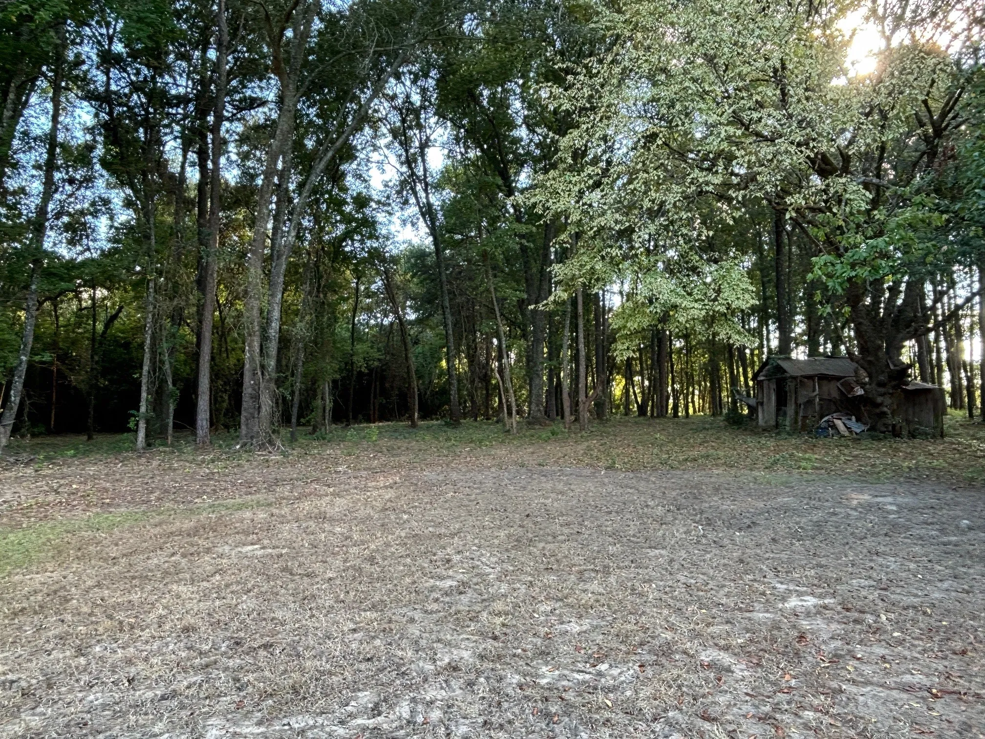 Single Family Residence For Sale in Titus County , 2431 N Jefferson, Mt Pleasant, Texas 75455, 4 Bedroom, 2 Bathroom, Garage spaces, 1,951 Sqft, built in 1950, Preowned, mls#21211098, Real Estate Agent in Mt Pleasant, Homes For Sale in Titus county, Homes For Sale in Mt Pleasant, Realtor in Mt Pleasant Texas, Real Estate Brokerage Independent Realty Texas, Luminita Cordes Realtor