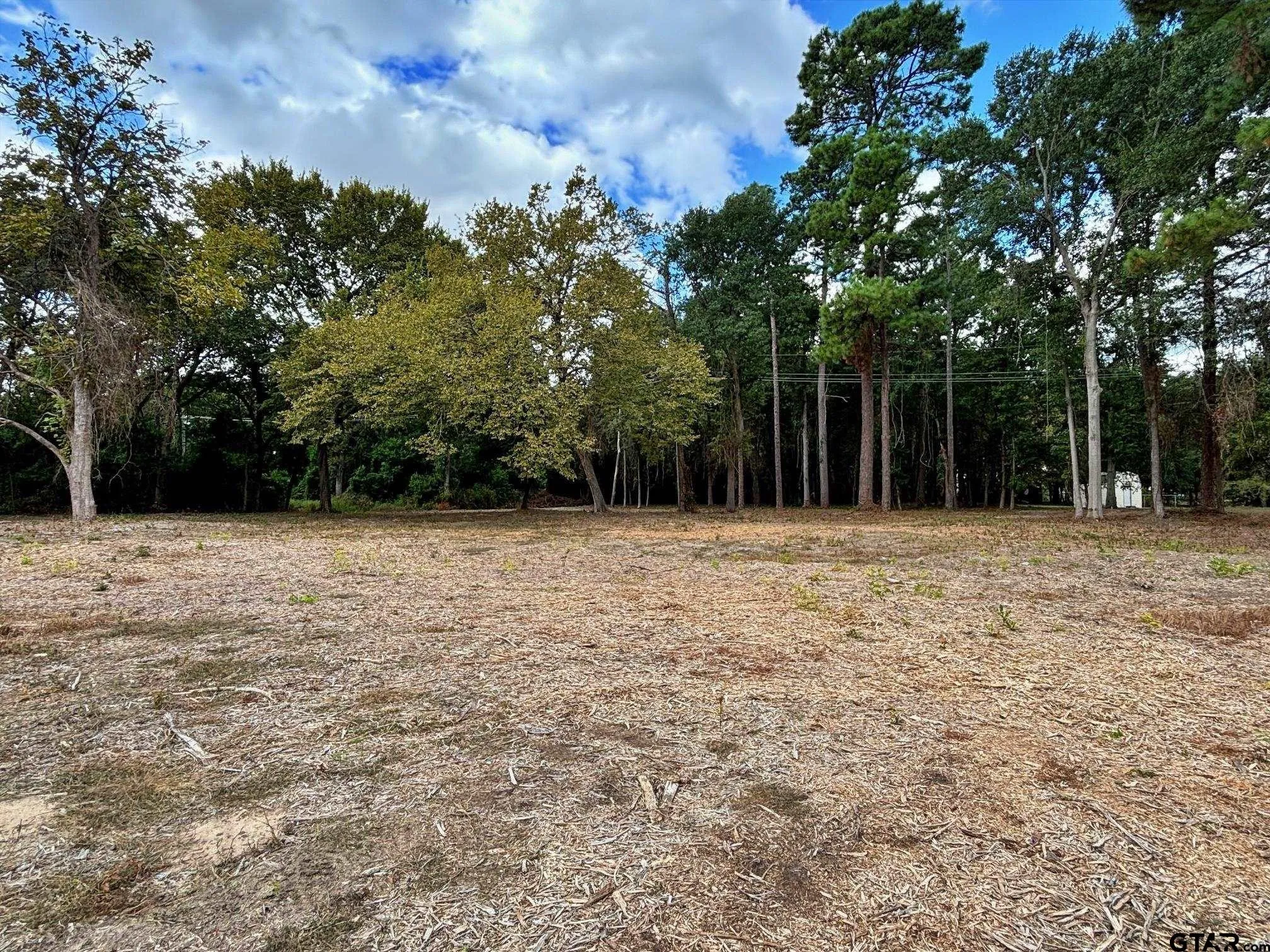 Single Family Residence For Sale in Titus County , 2431 N Jefferson, Mt Pleasant, Texas 75455, 4 Bedroom, 2 Bathroom, Garage spaces, 1,951 Sqft, built in 1950, Preowned, mls#21211098, Real Estate Agent in Mt Pleasant, Homes For Sale in Titus county, Homes For Sale in Mt Pleasant, Realtor in Mt Pleasant Texas, Real Estate Brokerage Independent Realty Texas, Luminita Cordes Realtor