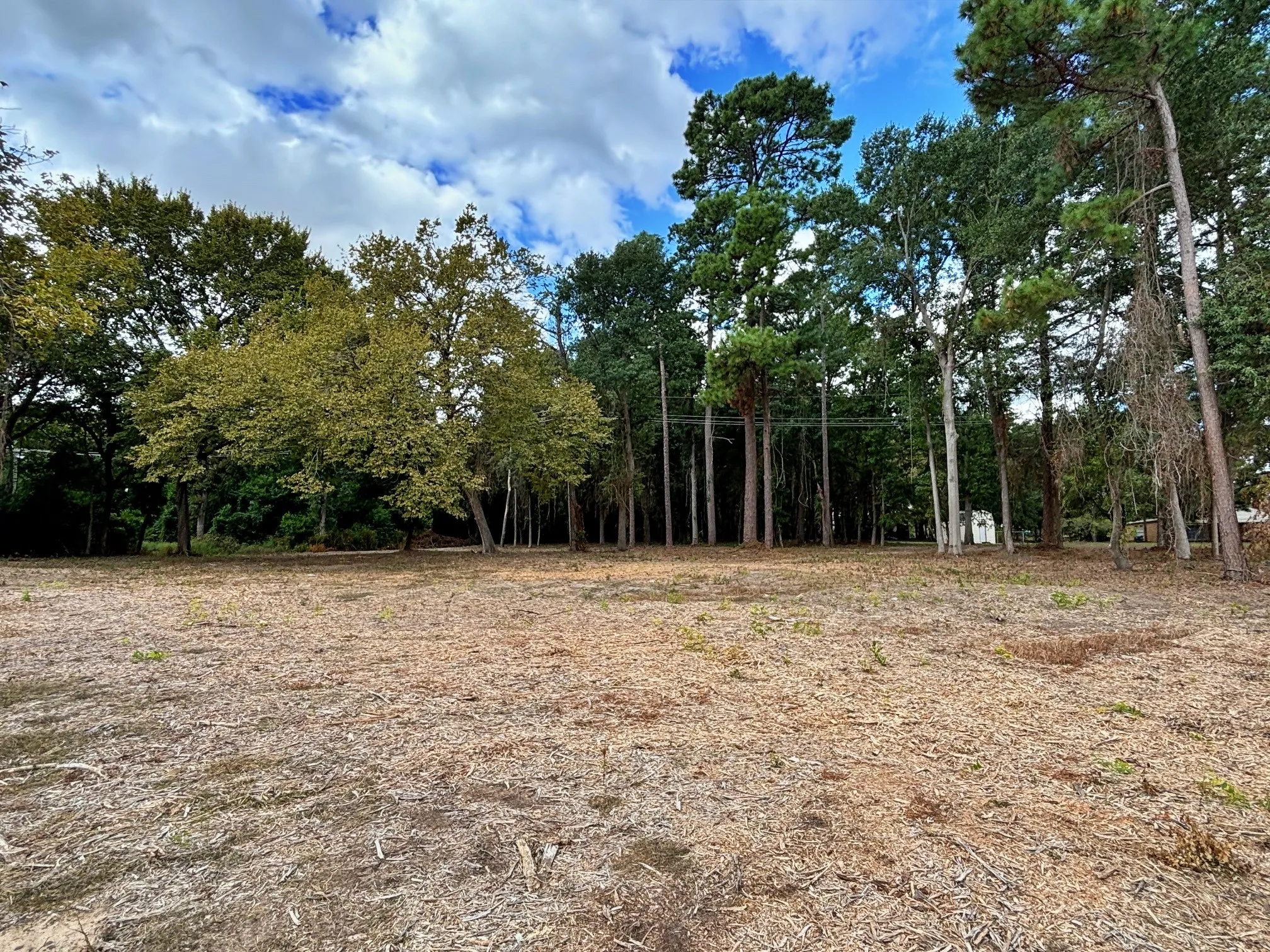Single Family Residence For Sale in Titus County , 2431 N Jefferson, Mt Pleasant, Texas 75455, 4 Bedroom, 2 Bathroom, Garage spaces, 1,951 Sqft, built in 1950, Preowned, mls#21211098, Real Estate Agent in Mt Pleasant, Homes For Sale in Titus county, Homes For Sale in Mt Pleasant, Realtor in Mt Pleasant Texas, Real Estate Brokerage Independent Realty Texas, Luminita Cordes Realtor