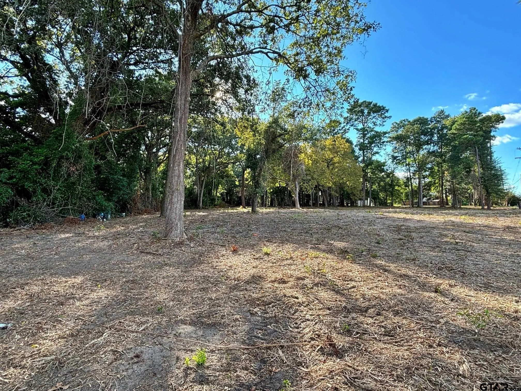 Single Family Residence For Sale in Titus County , 2431 N Jefferson, Mt Pleasant, Texas 75455, 4 Bedroom, 2 Bathroom, Garage spaces, 1,951 Sqft, built in 1950, Preowned, mls#21211098, Real Estate Agent in Mt Pleasant, Homes For Sale in Titus county, Homes For Sale in Mt Pleasant, Realtor in Mt Pleasant Texas, Real Estate Brokerage Independent Realty Texas, Luminita Cordes Realtor
