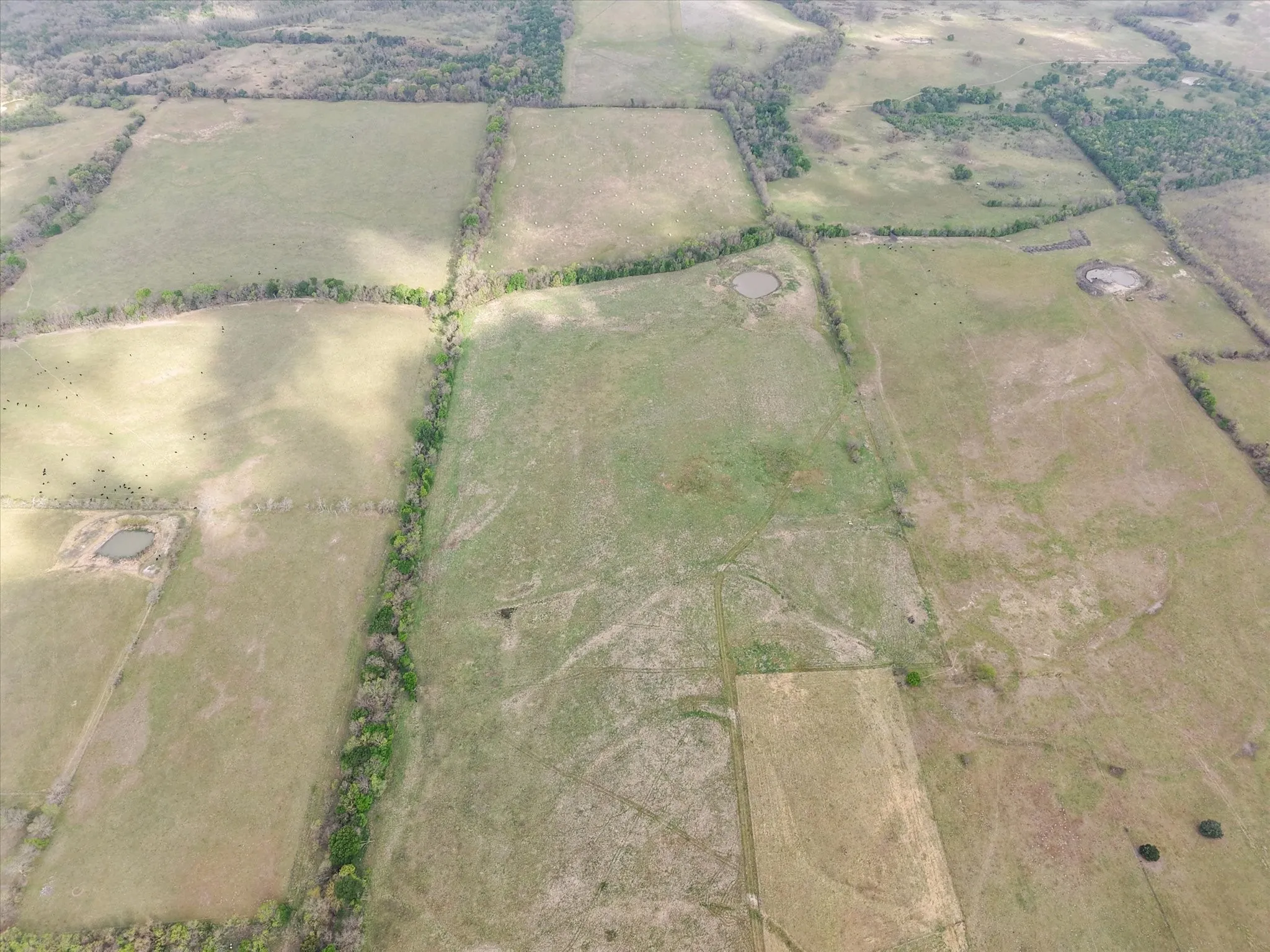 Overview of rural landscape with rows of crops