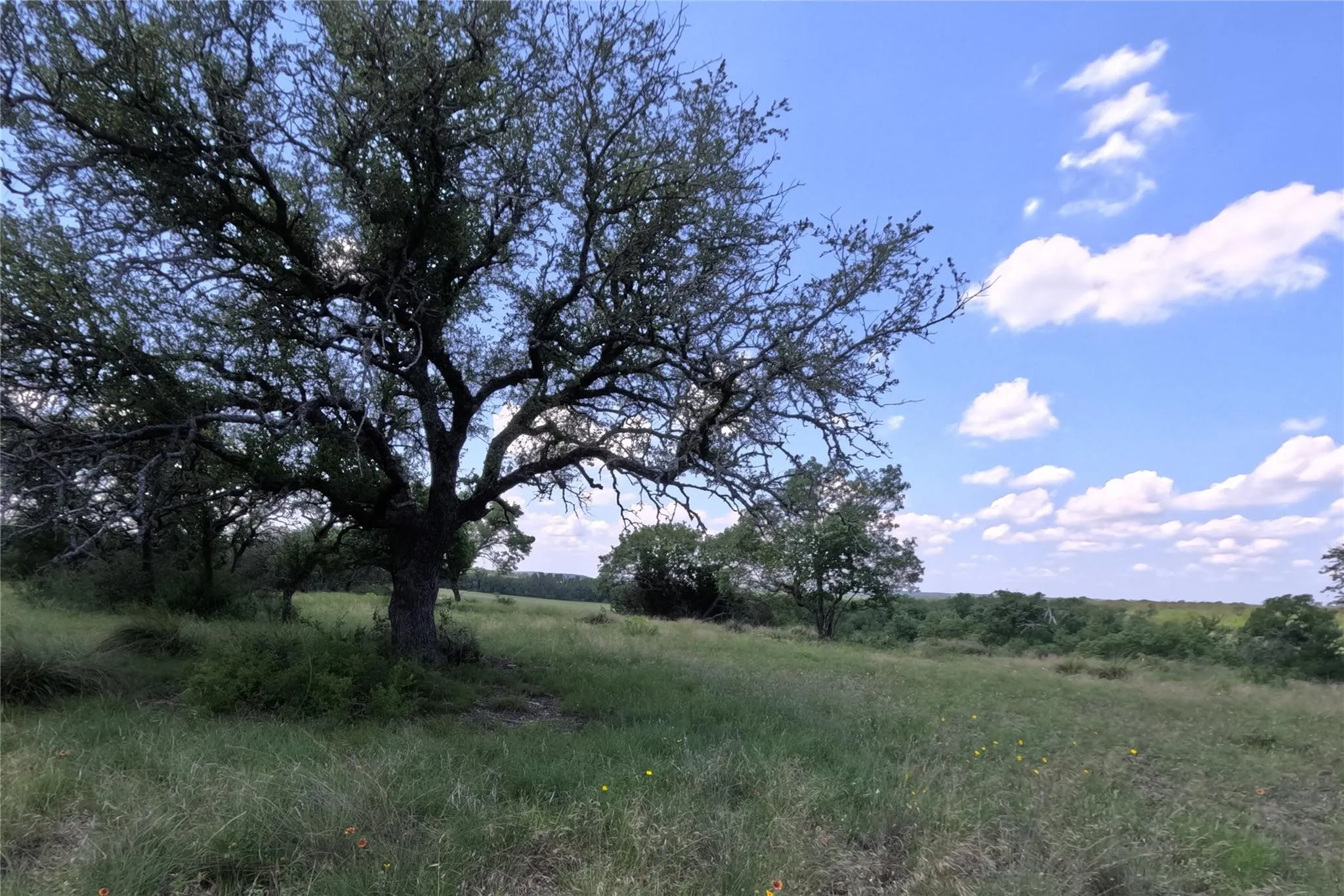 Ranch For Sale in Hamilton County , 7642 CR 512 Road, Hamilton, Texas 76880, 0, 0, Garage spaces, 0 Sqft, built in 0, Price $220,682, mls#21212924, Real Estate Agent in Hamilton, Homes For Sale in Hamilton county, Homes For Sale in Hamilton, Realtor in Hamilton Texas, Real Estate Brokerage Independent Realty Texas, Luminita Cordes Realtor