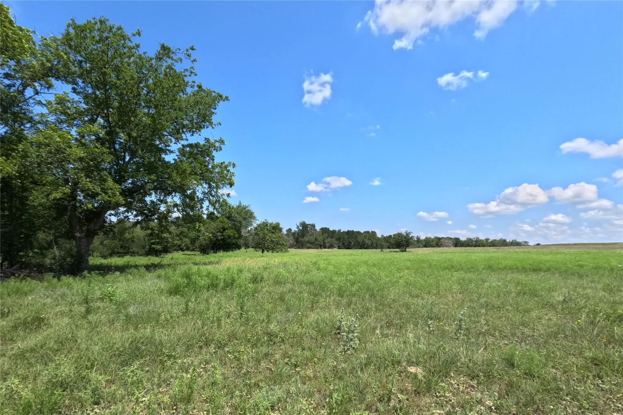 Ranch For Sale in Hamilton County , 7642 CR 512 Road, Hamilton, Texas 76880, 0, 0, Garage spaces, 0 Sqft, built in 0, Price $220,682, mls#21212924, Real Estate Agent in Hamilton, Homes For Sale in Hamilton county, Homes For Sale in Hamilton, Realtor in Hamilton Texas, Real Estate Brokerage Independent Realty Texas, Luminita Cordes Realtor