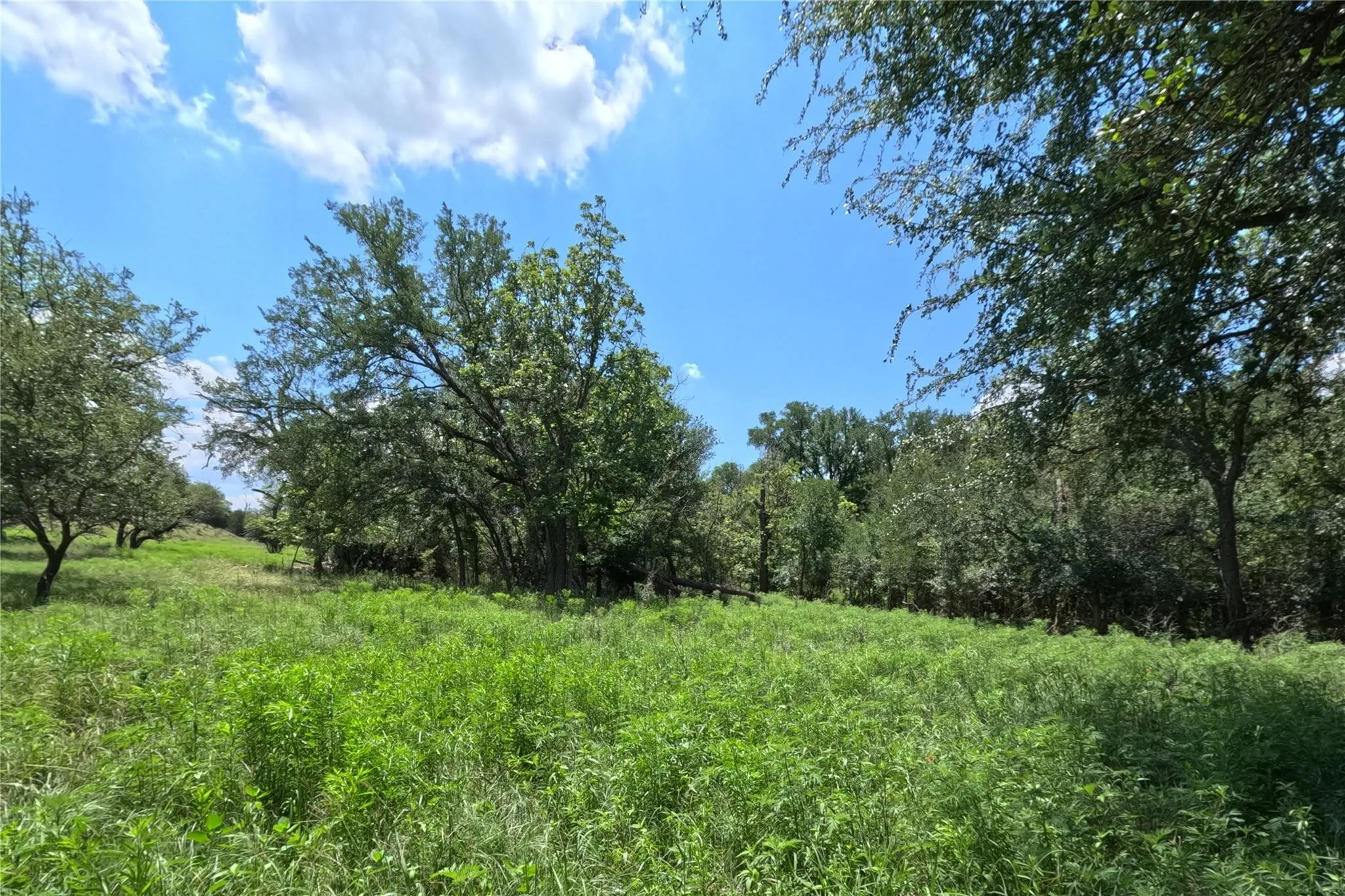 Ranch For Sale in Hamilton County , 7642 CR 512 Road, Hamilton, Texas 76880, 0, 0, Garage spaces, 0 Sqft, built in 0, Price $220,682, mls#21212924, Real Estate Agent in Hamilton, Homes For Sale in Hamilton county, Homes For Sale in Hamilton, Realtor in Hamilton Texas, Real Estate Brokerage Independent Realty Texas, Luminita Cordes Realtor