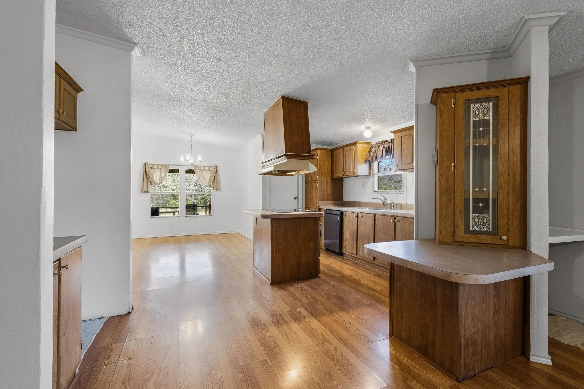 Kitchen from the bar to the dining room