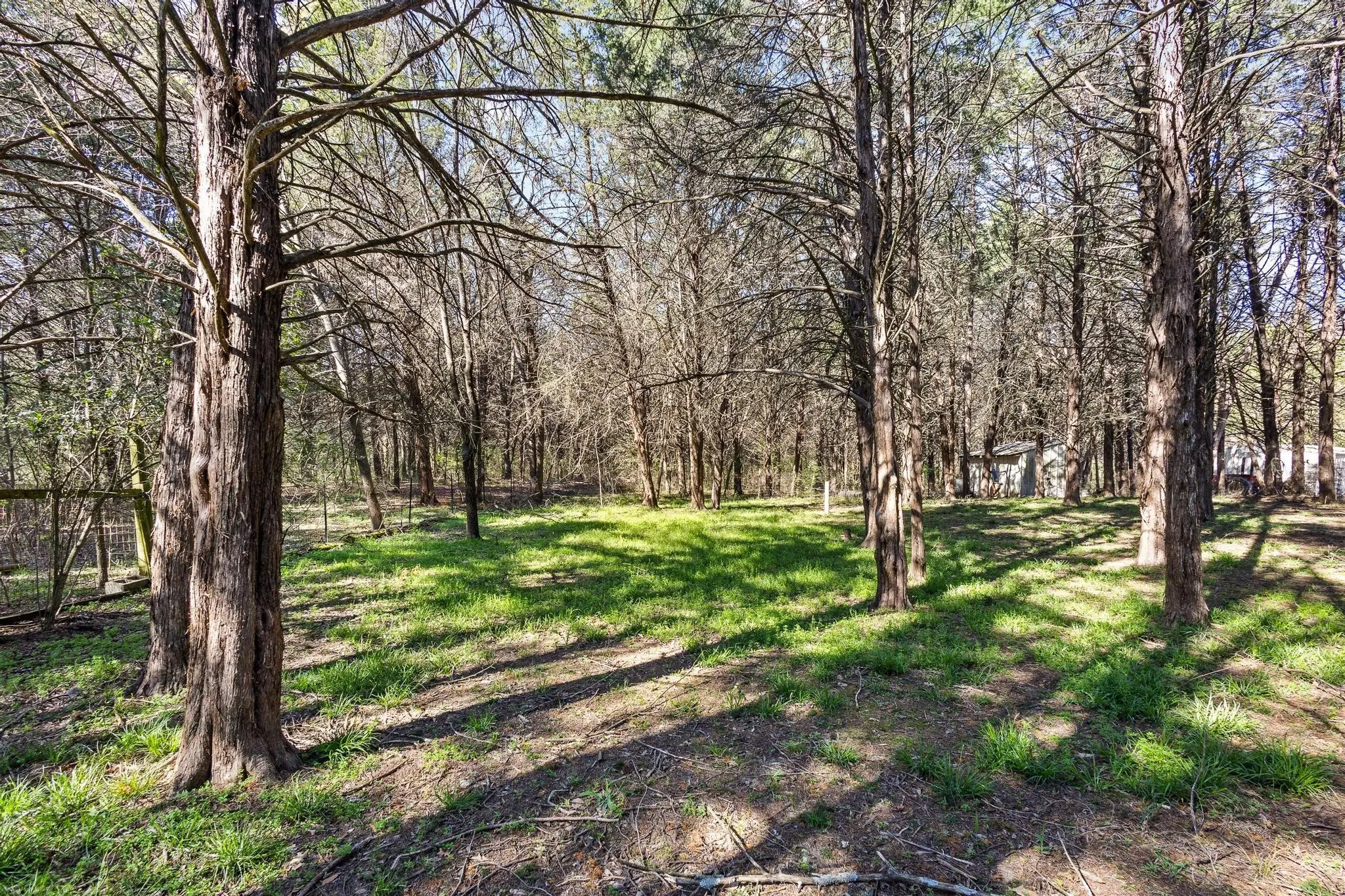 Ranch For Sale in Fannin County , 528 County Road 1120, Ravenna, Texas 75476, 0, 0, Garage spaces, 0 Sqft, built in 1999, mls#21211100, Real Estate Agent in Ravenna, Homes For Sale in Fannin county, Homes For Sale in Ravenna, Realtor in Ravenna Texas, Real Estate Brokerage Independent Realty Texas, Luminita Cordes Realtor