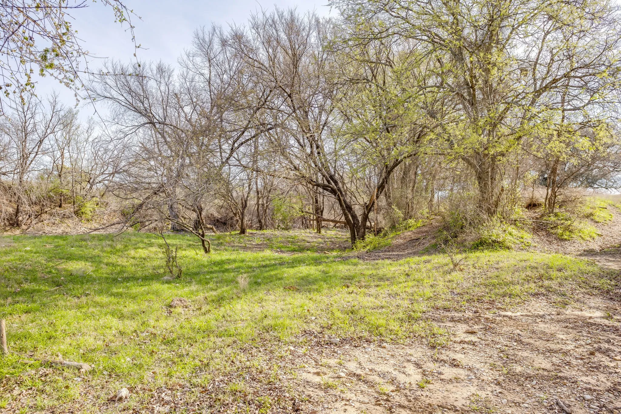 Unimproved Land For Sale in Hill County , TBD HCR 1136, Blum, Texas 76093, 0, 0, Garage spaces, 0 Sqft, built in 0, mls#21212307, Real Estate Agent in Blum, Homes For Sale in Hill county, Homes For Sale in Blum, Realtor in Blum Texas, Real Estate Brokerage Independent Realty Texas, Luminita Cordes Realtor