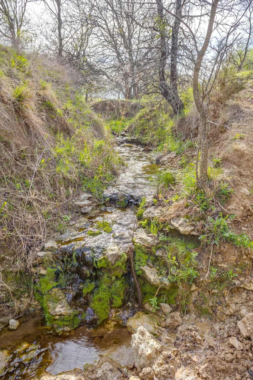 Unimproved Land For Sale in Hill County , TBD HCR 1136, Blum, Texas 76093, 0, 0, Garage spaces, 0 Sqft, built in 0, mls#21212307, Real Estate Agent in Blum, Homes For Sale in Hill county, Homes For Sale in Blum, Realtor in Blum Texas, Real Estate Brokerage Independent Realty Texas, Luminita Cordes Realtor