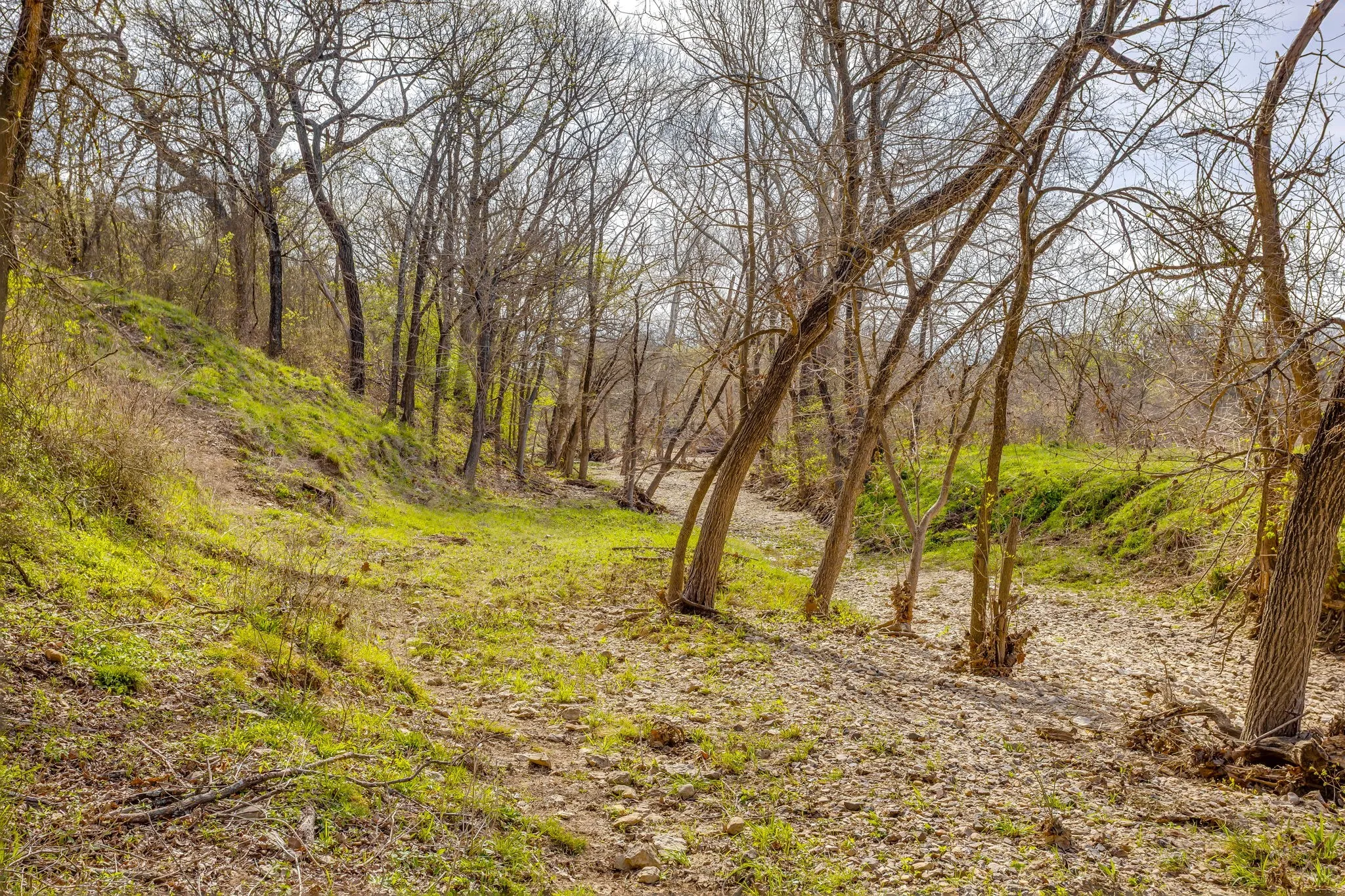 Unimproved Land For Sale in Hill County , TBD HCR 1136, Blum, Texas 76093, 0, 0, Garage spaces, 0 Sqft, built in 0, mls#21212307, Real Estate Agent in Blum, Homes For Sale in Hill county, Homes For Sale in Blum, Realtor in Blum Texas, Real Estate Brokerage Independent Realty Texas, Luminita Cordes Realtor