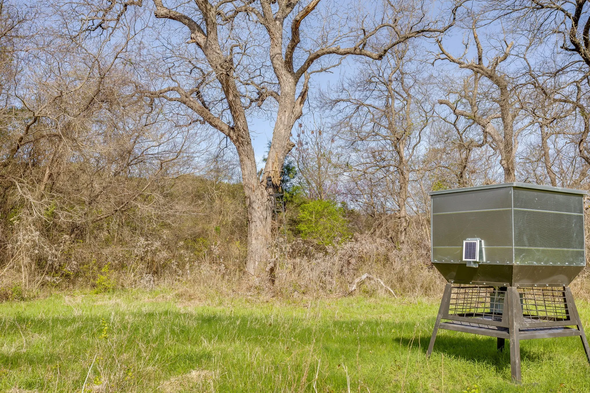 Unimproved Land For Sale in Hill County , TBD HCR 1136, Blum, Texas 76093, 0, 0, Garage spaces, 0 Sqft, built in 0, mls#21212307, Real Estate Agent in Blum, Homes For Sale in Hill county, Homes For Sale in Blum, Realtor in Blum Texas, Real Estate Brokerage Independent Realty Texas, Luminita Cordes Realtor