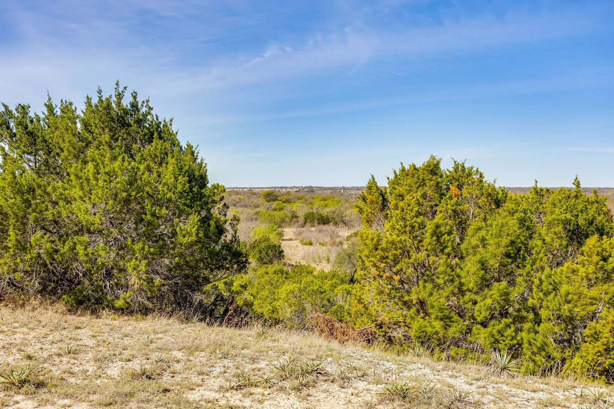 Unimproved Land For Sale in Hill County , TBD HCR 1136, Blum, Texas 76093, 0, 0, Garage spaces, 0 Sqft, built in 0, mls#21212307, Real Estate Agent in Blum, Homes For Sale in Hill county, Homes For Sale in Blum, Realtor in Blum Texas, Real Estate Brokerage Independent Realty Texas, Luminita Cordes Realtor