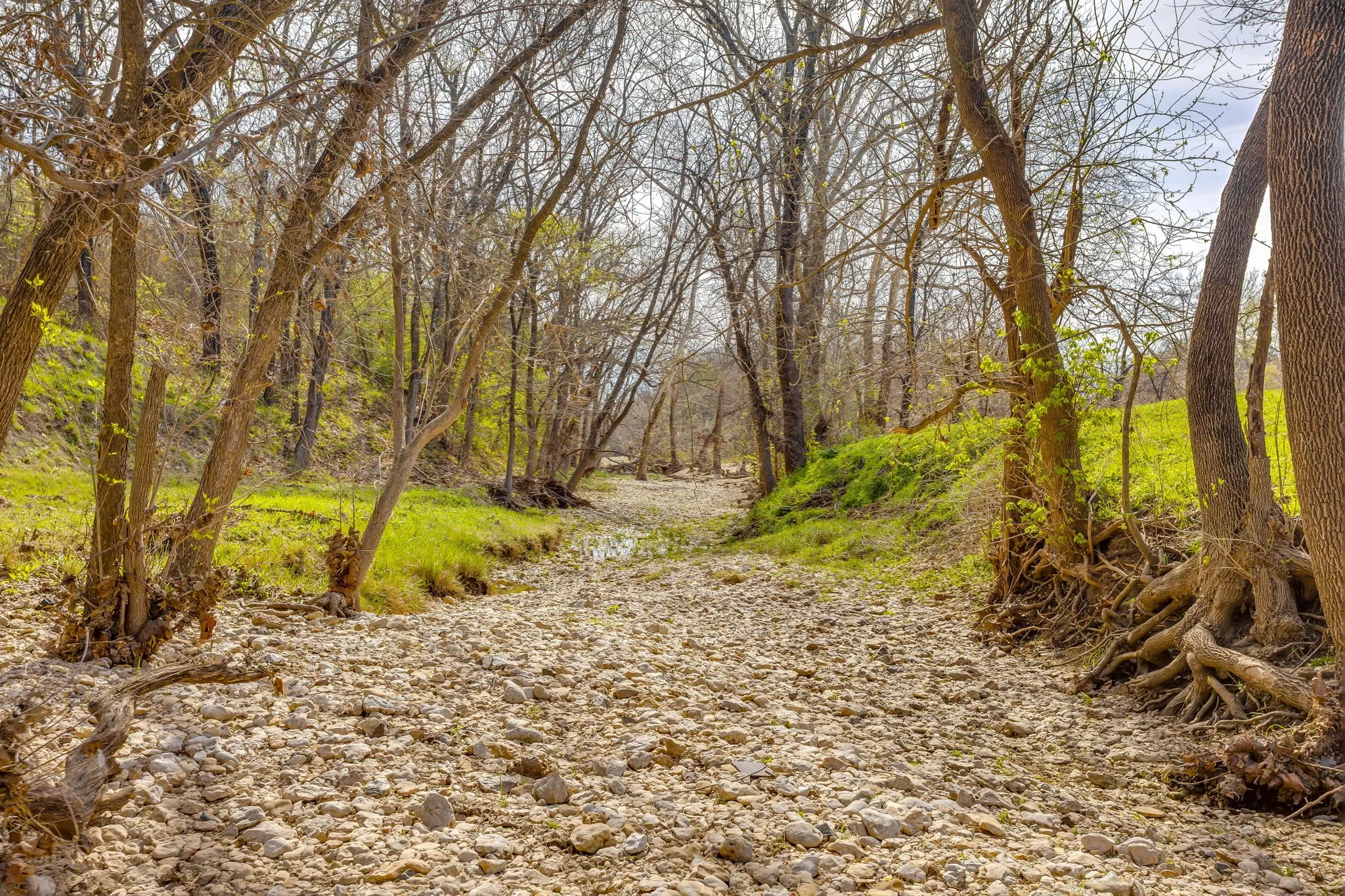 Unimproved Land For Sale in Hill County , TBD HCR 1136, Blum, Texas 76093, 0, 0, Garage spaces, 0 Sqft, built in 0, mls#21212943, Real Estate Agent in Blum, Homes For Sale in Hill county, Homes For Sale in Blum, Realtor in Blum Texas, Real Estate Brokerage Independent Realty Texas, Luminita Cordes Realtor