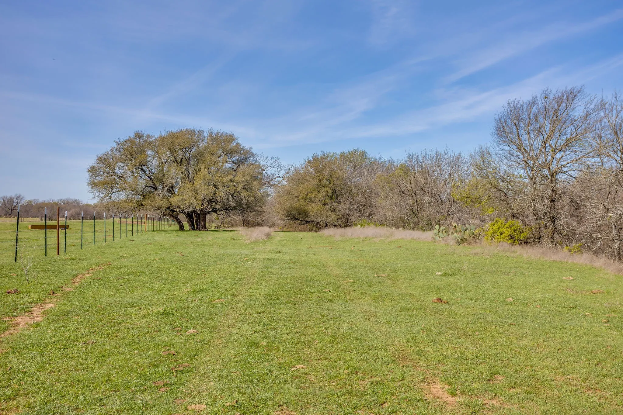Unimproved Land For Sale in Hill County , TBD HCR 1136, Blum, Texas 76093, 0, 0, Garage spaces, 0 Sqft, built in 0, mls#21212943, Real Estate Agent in Blum, Homes For Sale in Hill county, Homes For Sale in Blum, Realtor in Blum Texas, Real Estate Brokerage Independent Realty Texas, Luminita Cordes Realtor