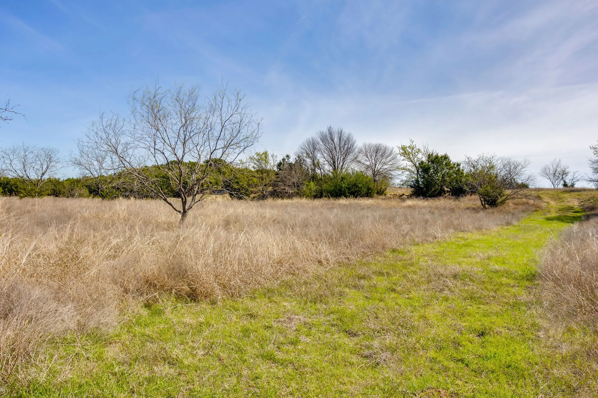 Unimproved Land For Sale in Hill County , TBD HCR 1136, Blum, Texas 76093, 0, 0, Garage spaces, 0 Sqft, built in 0, mls#21212943, Real Estate Agent in Blum, Homes For Sale in Hill county, Homes For Sale in Blum, Realtor in Blum Texas, Real Estate Brokerage Independent Realty Texas, Luminita Cordes Realtor