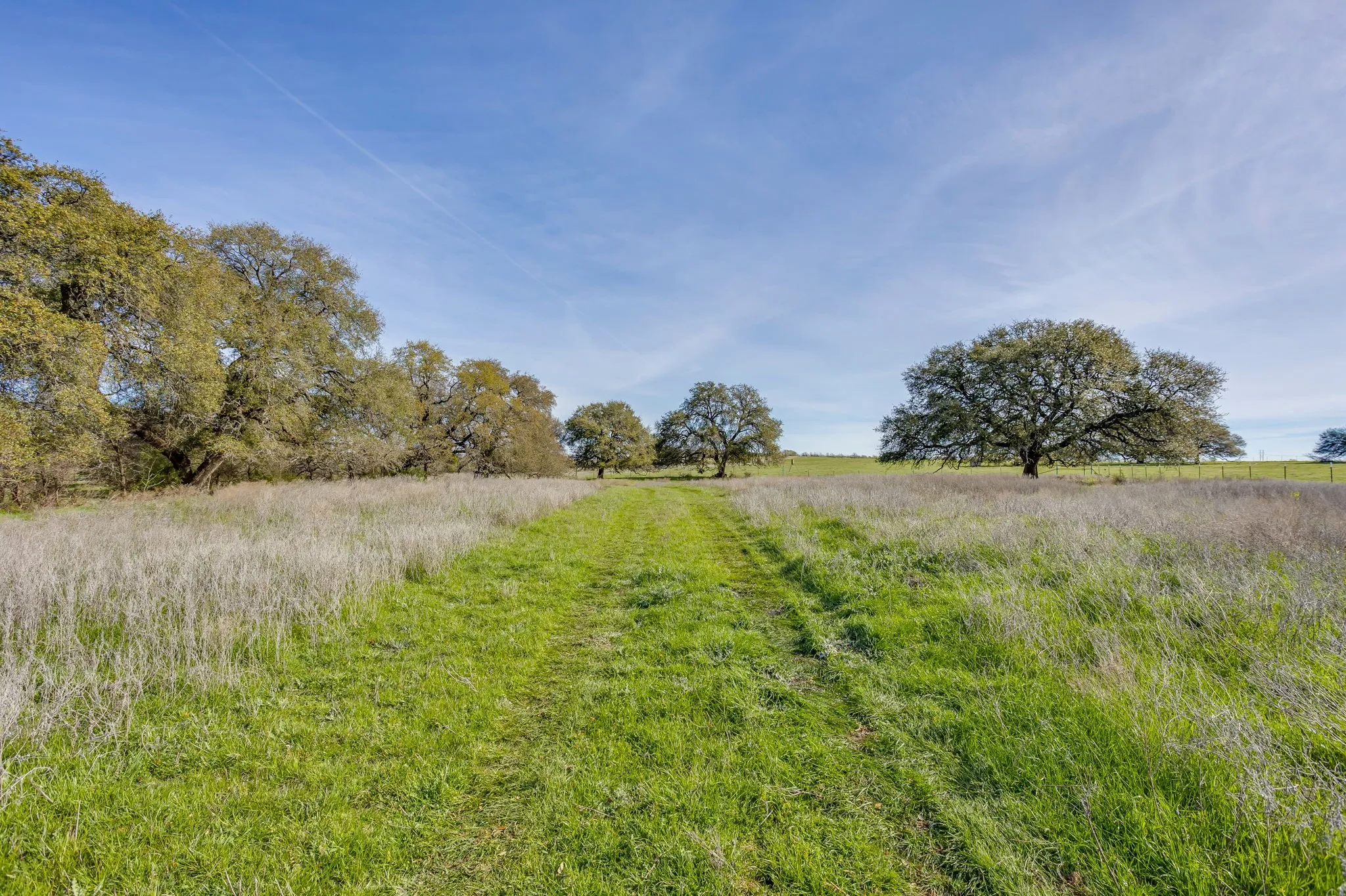 Unimproved Land For Sale in Hill County , TBD HCR 1136, Blum, Texas 76093, 0, 0, Garage spaces, 0 Sqft, built in 0, mls#21212943, Real Estate Agent in Blum, Homes For Sale in Hill county, Homes For Sale in Blum, Realtor in Blum Texas, Real Estate Brokerage Independent Realty Texas, Luminita Cordes Realtor