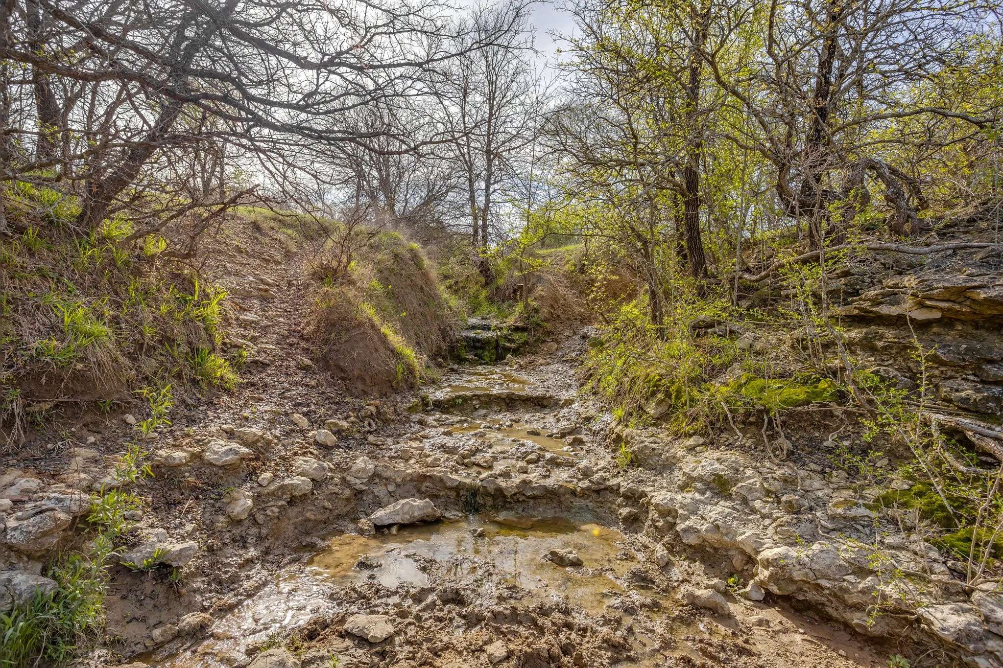 Unimproved Land For Sale in Hill County , TBD HCR 1136, Blum, Texas 76093, 0, 0, Garage spaces, 0 Sqft, built in 0, mls#21212943, Real Estate Agent in Blum, Homes For Sale in Hill county, Homes For Sale in Blum, Realtor in Blum Texas, Real Estate Brokerage Independent Realty Texas, Luminita Cordes Realtor