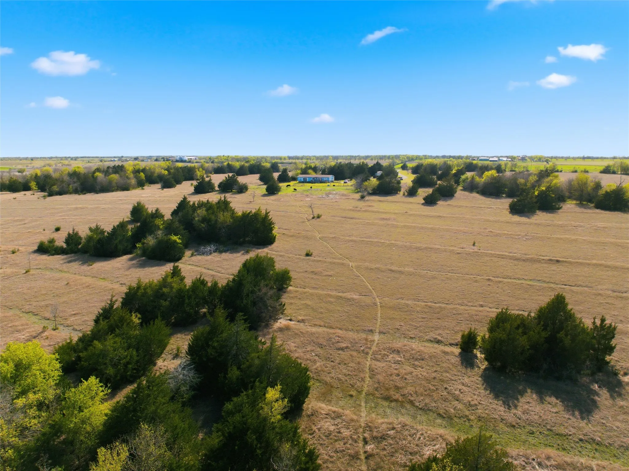 Ranch For Sale in Falls County , 196 County Road 144, Riesel, Texas 76682, 0, 0, Garage spaces, 0 Sqft, built in 1991, mls#21212988, Real Estate Agent in Riesel, Homes For Sale in Falls county, Homes For Sale in Riesel, Realtor in Riesel Texas, Real Estate Brokerage Independent Realty Texas, Luminita Cordes Realtor