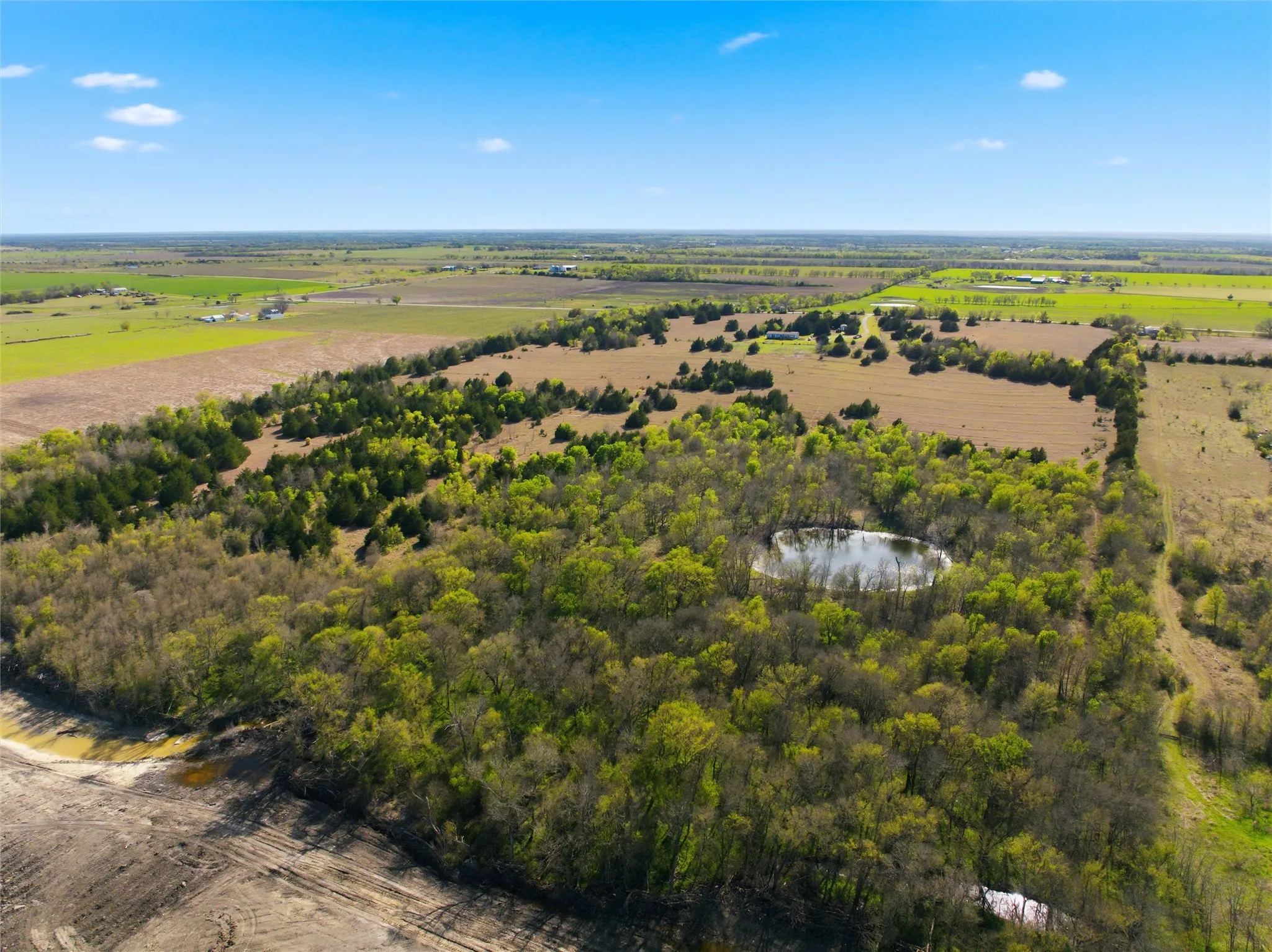View of rural area featuring rows of crops