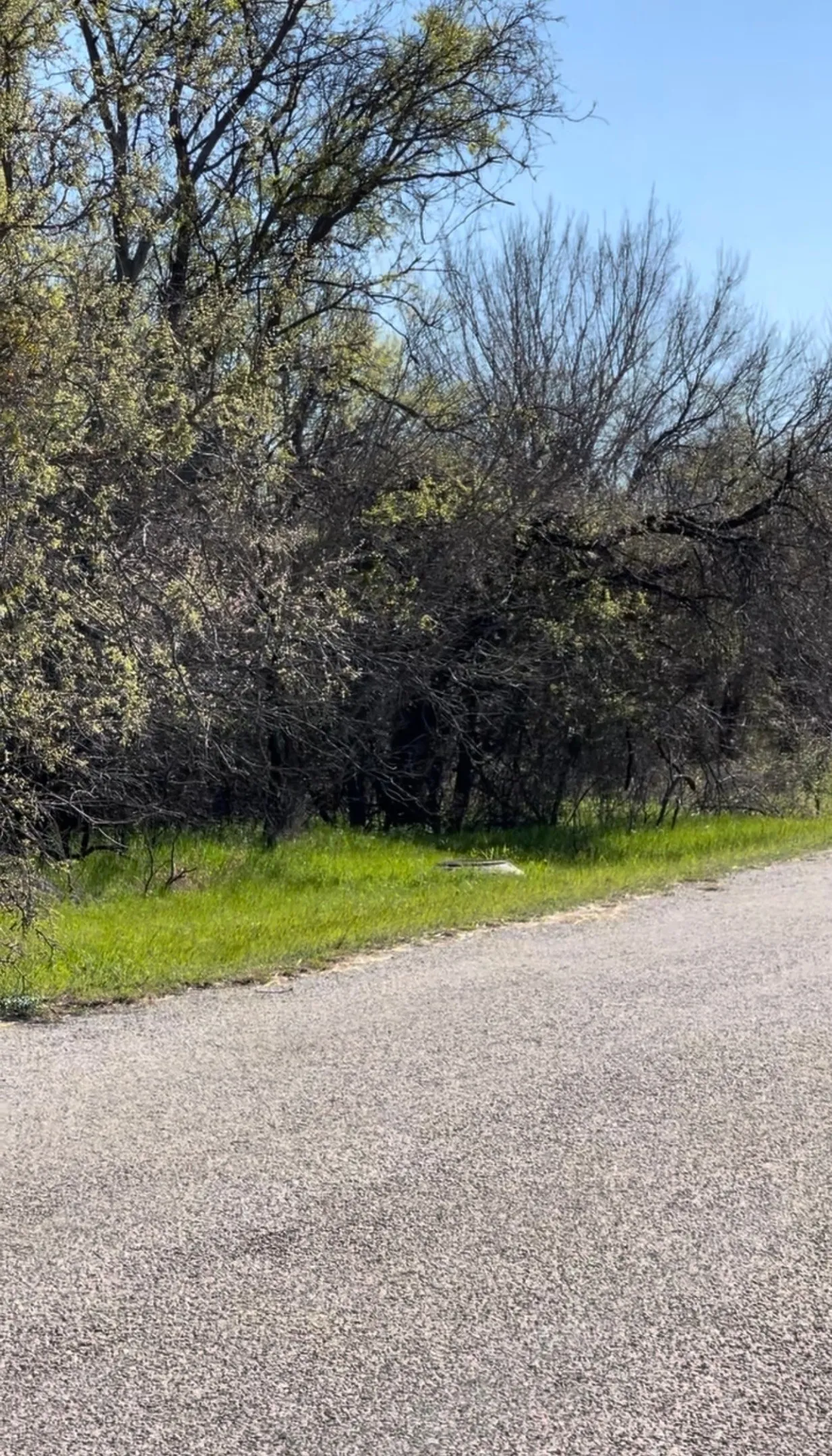 Unimproved Land For Sale in Wise County , TBD Port O Call Drive, Runaway Bay, Texas 76426, 0, 0, Garage spaces, 0 Sqft, built in 0, Price $105,000, mls#21212088, Real Estate Agent in Runaway Bay, Homes For Sale in Wise county, Homes For Sale in Runaway Bay, Realtor in Runaway Bay Texas, Real Estate Brokerage Independent Realty Texas, Luminita Cordes Realtor