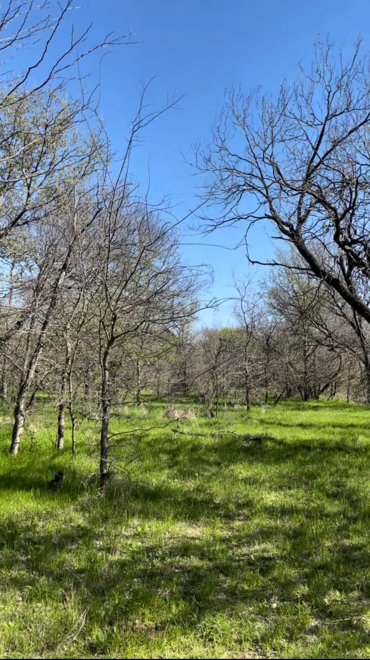 Unimproved Land For Sale in Wise County , TBD Port O Call Drive, Runaway Bay, Texas 76426, 0, 0, Garage spaces, 0 Sqft, built in 0, Price $105,000, mls#21212088, Real Estate Agent in Runaway Bay, Homes For Sale in Wise county, Homes For Sale in Runaway Bay, Realtor in Runaway Bay Texas, Real Estate Brokerage Independent Realty Texas, Luminita Cordes Realtor