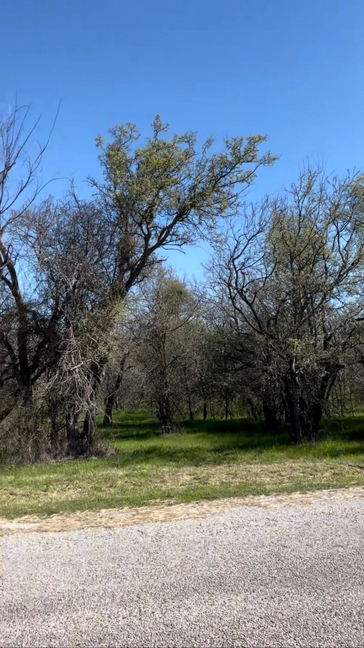 Unimproved Land For Sale in Wise County , TBD Port O Call Drive, Runaway Bay, Texas 76426, 0, 0, Garage spaces, 0 Sqft, built in 0, Price $105,000, mls#21212088, Real Estate Agent in Runaway Bay, Homes For Sale in Wise county, Homes For Sale in Runaway Bay, Realtor in Runaway Bay Texas, Real Estate Brokerage Independent Realty Texas, Luminita Cordes Realtor