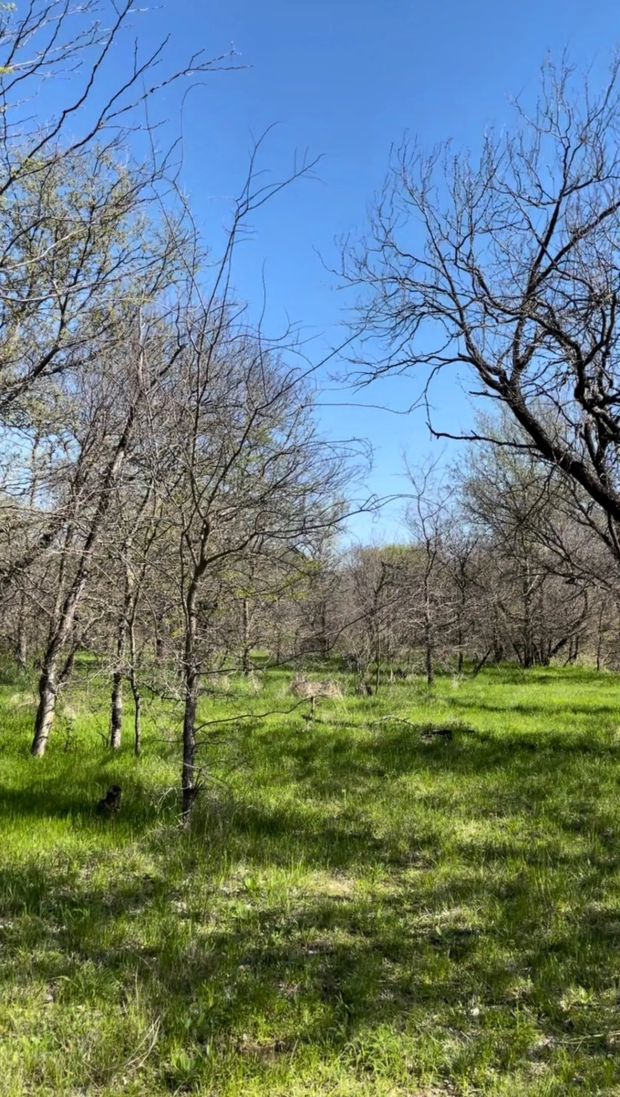 Unimproved Land For Sale in Wise County , TBD Port O Call Drive, Runaway Bay, Texas 76426, 0, 0, Garage spaces, 0 Sqft, built in 0, Price $105,000, mls#21212088, Real Estate Agent in Runaway Bay, Homes For Sale in Wise county, Homes For Sale in Runaway Bay, Realtor in Runaway Bay Texas, Real Estate Brokerage Independent Realty Texas, Luminita Cordes Realtor