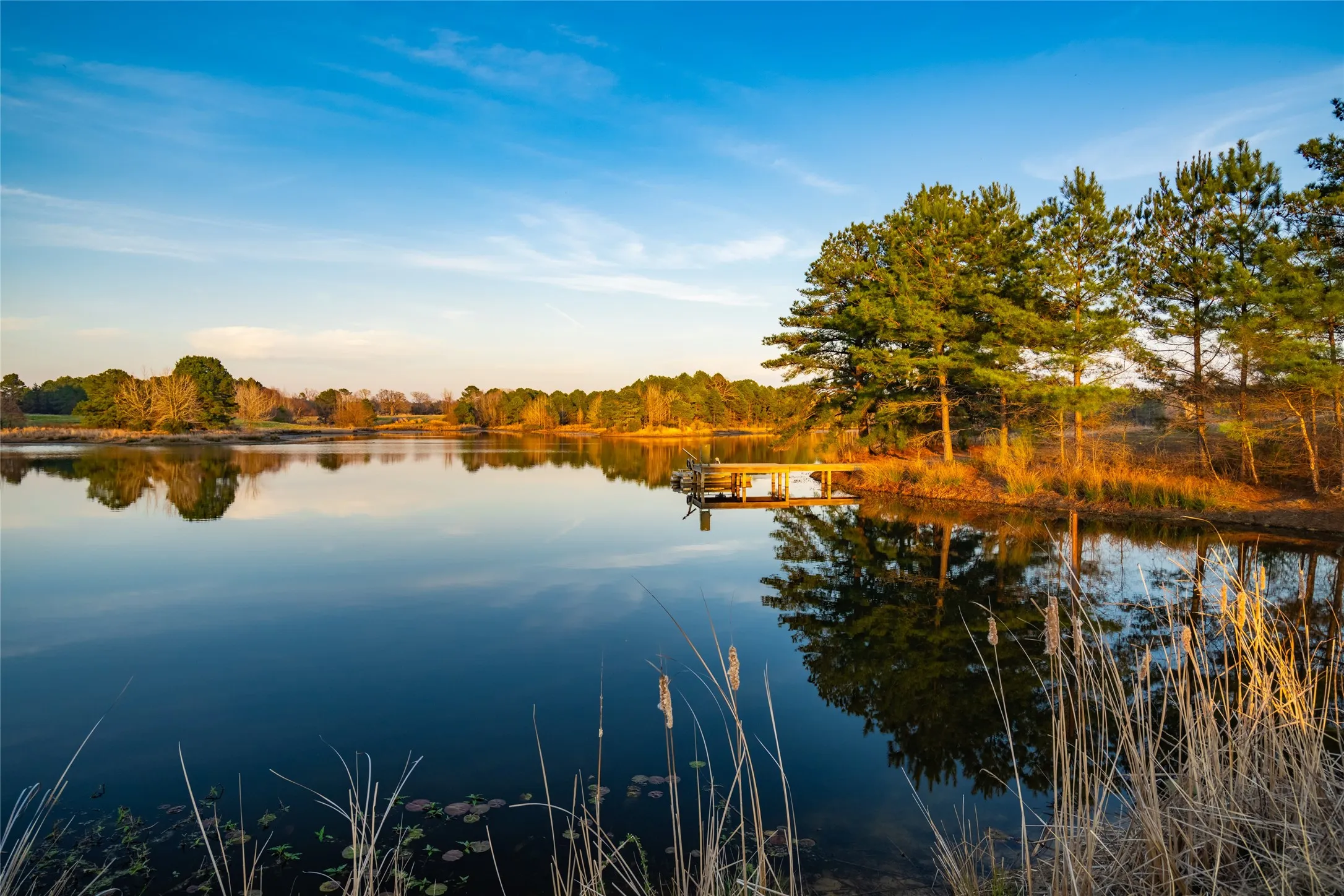 Improved Land For Sale in Wood County , 1002 Private Road 7892, Mineola, Texas 75773, 0, 0, Garage spaces, 0 Sqft, built in 0, Price $1,850,000, mls#21211345, Real Estate Agent in Mineola, Homes For Sale in Wood county, Homes For Sale in Mineola, Realtor in Mineola Texas, Real Estate Brokerage Independent Realty Texas, Luminita Cordes Realtor