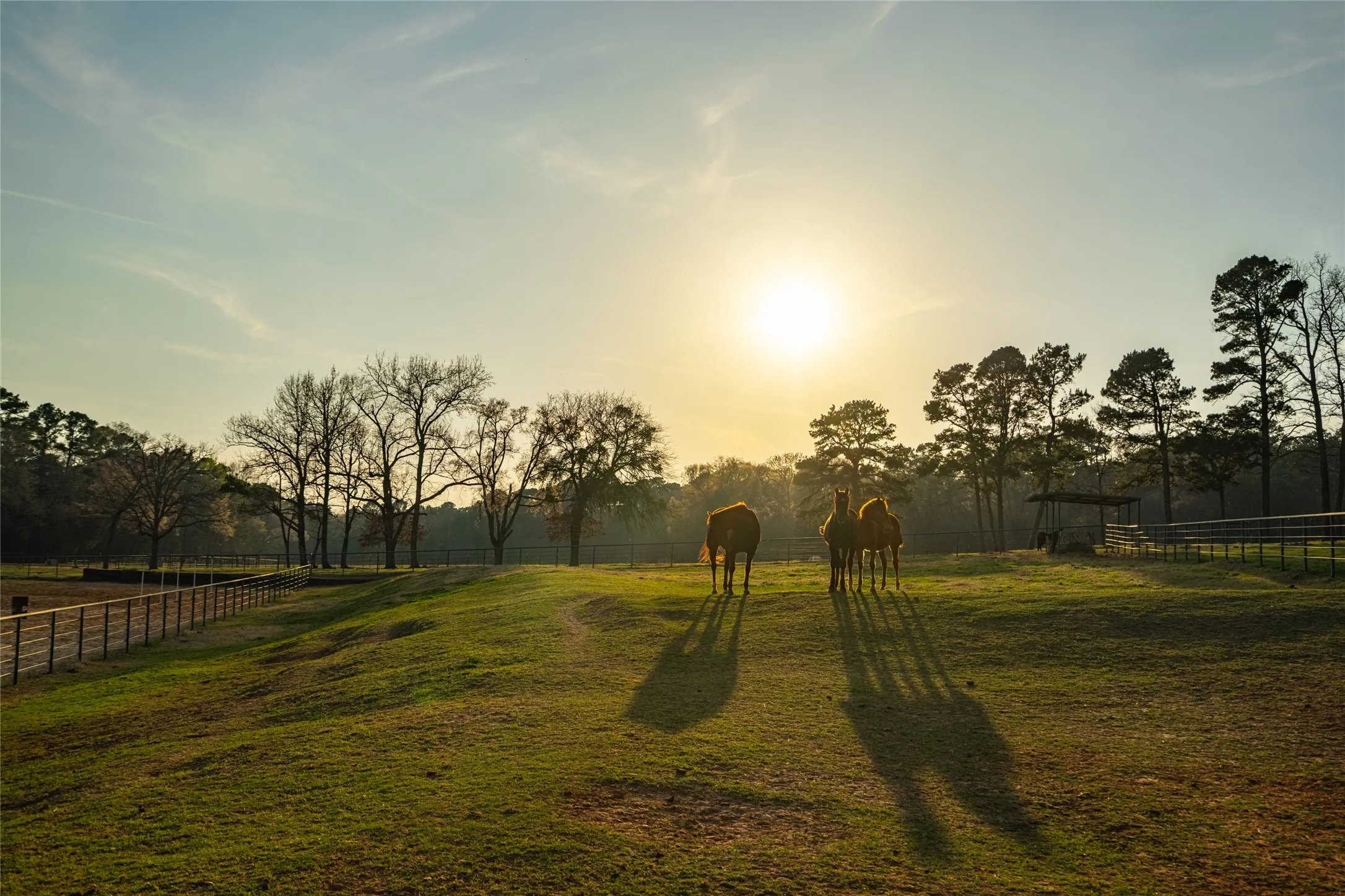 Improved Land For Sale in Wood County , 1002 Private Road 7892, Mineola, Texas 75773, 0, 0, Garage spaces, 0 Sqft, built in 0, Price $1,850,000, mls#21211345, Real Estate Agent in Mineola, Homes For Sale in Wood county, Homes For Sale in Mineola, Realtor in Mineola Texas, Real Estate Brokerage Independent Realty Texas, Luminita Cordes Realtor