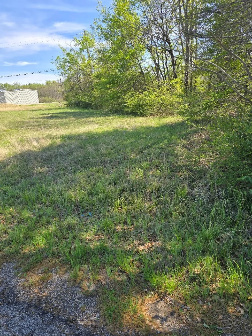 Unimproved Land For Sale in Henderson County , Lot 36 Loon Bay Drive, Gun Barrel City, Texas 75156, 0, 0, Garage spaces, 0 Sqft, built in 0, mls#21213206, Real Estate Agent in Gun Barrel City, Homes For Sale in Henderson county, Homes For Sale in Gun Barrel City, Realtor in Gun Barrel City Texas, Real Estate Brokerage Independent Realty Texas, Luminita Cordes Realtor