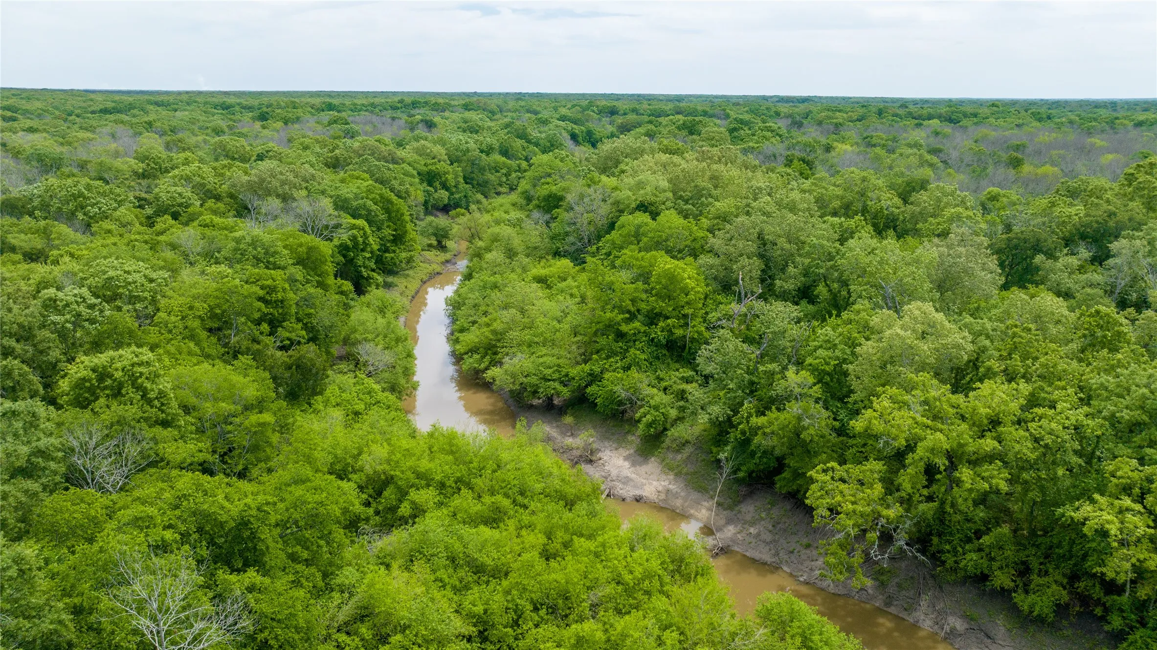 Unimproved Land For Sale in Red River (TX) County , TBD CR 4630, Annona, Texas 75550, 0, 0, Garage spaces, 0 Sqft, built in 0, mls#21213247, Real Estate Agent in Annona, Homes For Sale in Red River (TX) county, Homes For Sale in Annona, Realtor in Annona Texas, Real Estate Brokerage Independent Realty Texas, Luminita Cordes Realtor