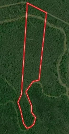 Unimproved Land For Sale in Red River (TX) County , TBD CR 4630, Annona, Texas 75550, 0, 0, Garage spaces, 0 Sqft, built in 0, mls#21213247, Real Estate Agent in Annona, Homes For Sale in Red River (TX) county, Homes For Sale in Annona, Realtor in Annona Texas, Real Estate Brokerage Independent Realty Texas, Luminita Cordes Realtor