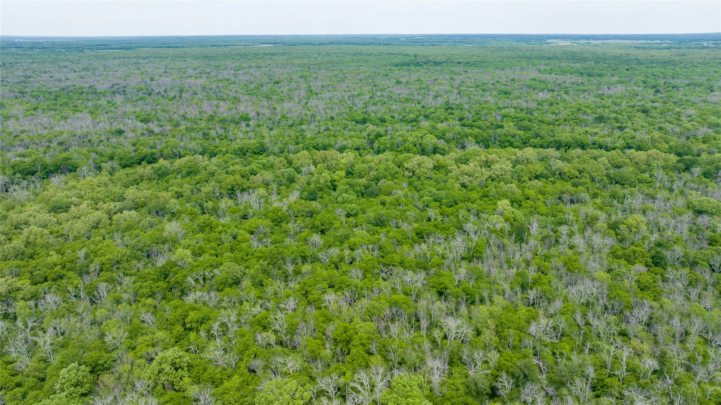 Unimproved Land For Sale in Red River (TX) County , TBD CR 4630, Annona, Texas 75550, 0, 0, Garage spaces, 0 Sqft, built in 0, mls#21213247, Real Estate Agent in Annona, Homes For Sale in Red River (TX) county, Homes For Sale in Annona, Realtor in Annona Texas, Real Estate Brokerage Independent Realty Texas, Luminita Cordes Realtor
