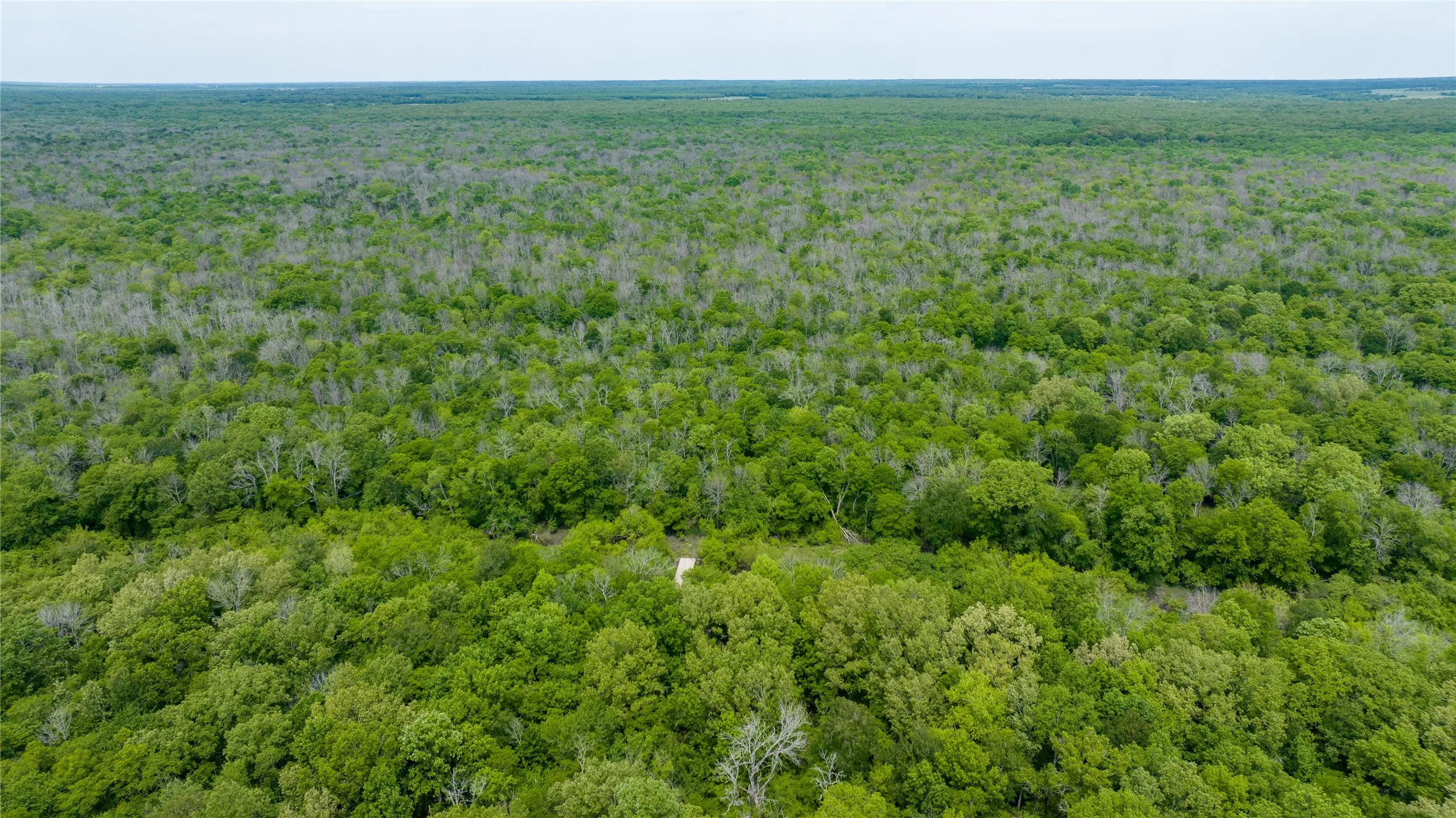 Unimproved Land For Sale in Red River (TX) County , TBD CR 4630, Annona, Texas 75550, 0, 0, Garage spaces, 0 Sqft, built in 0, mls#21213247, Real Estate Agent in Annona, Homes For Sale in Red River (TX) county, Homes For Sale in Annona, Realtor in Annona Texas, Real Estate Brokerage Independent Realty Texas, Luminita Cordes Realtor