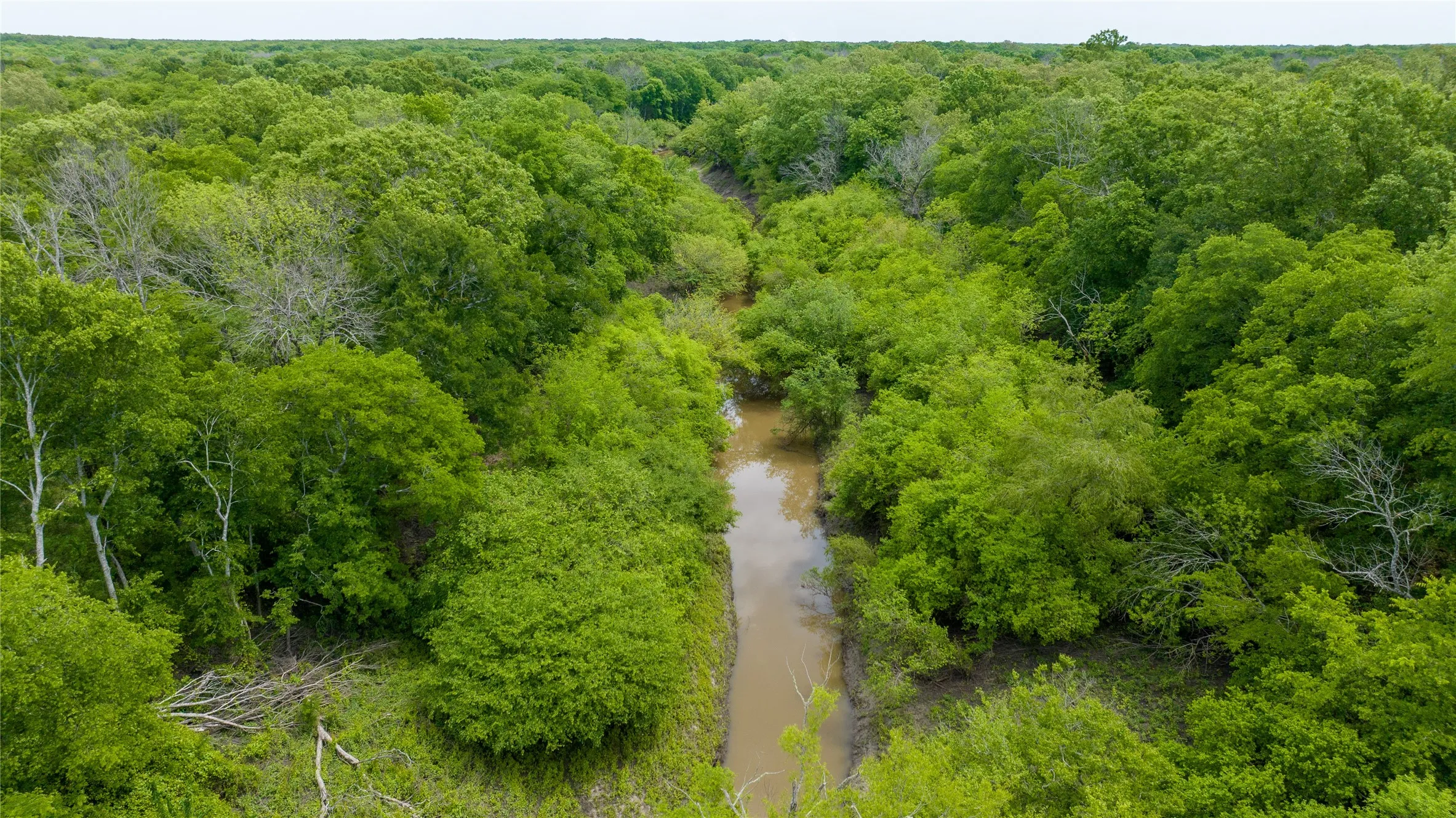 Your own river and forest