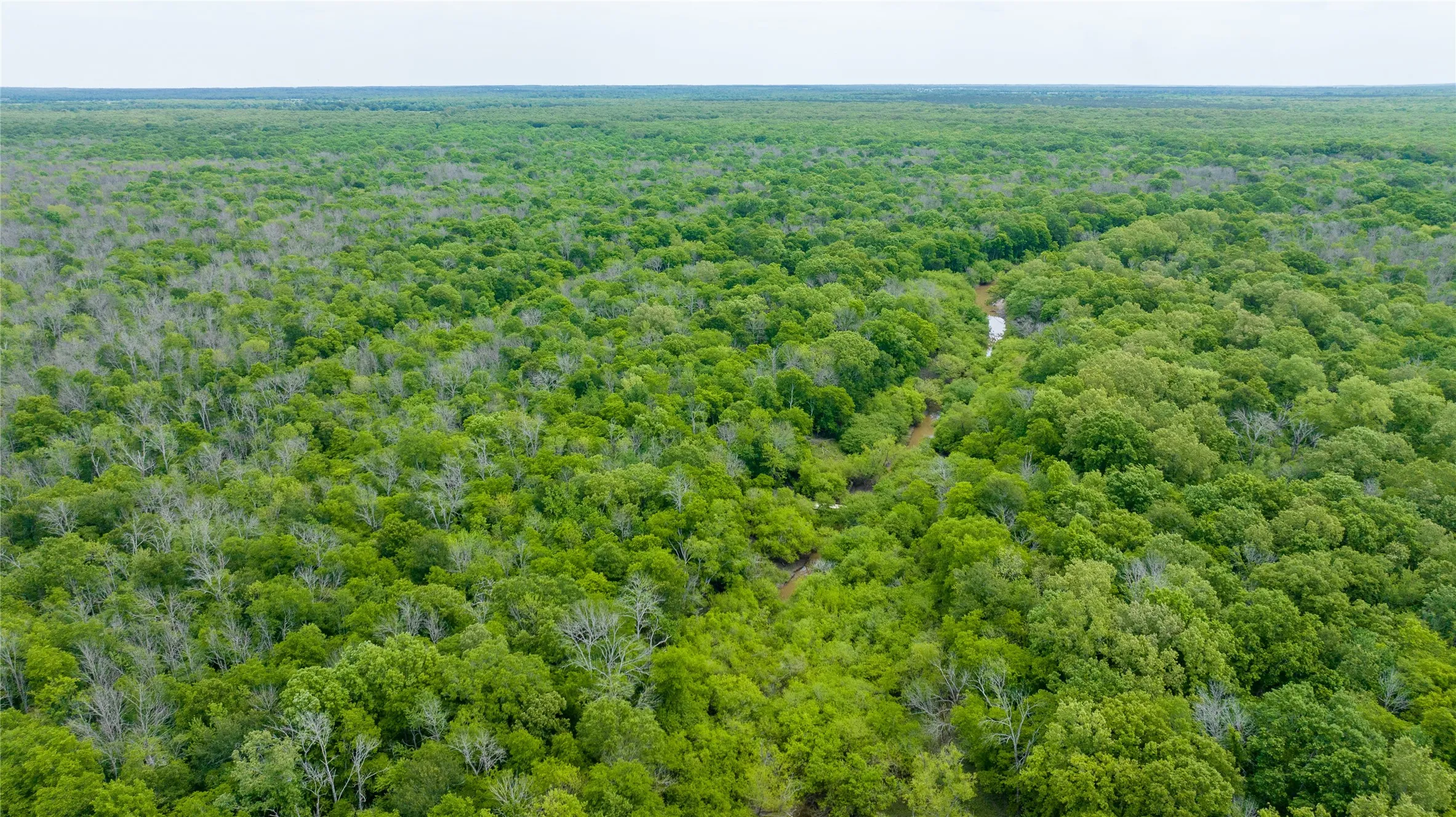Unimproved Land For Sale in Red River (TX) County , TBD CR 4630, Annona, Texas 75550, 0, 0, Garage spaces, 0 Sqft, built in 0, mls#21213247, Real Estate Agent in Annona, Homes For Sale in Red River (TX) county, Homes For Sale in Annona, Realtor in Annona Texas, Real Estate Brokerage Independent Realty Texas, Luminita Cordes Realtor