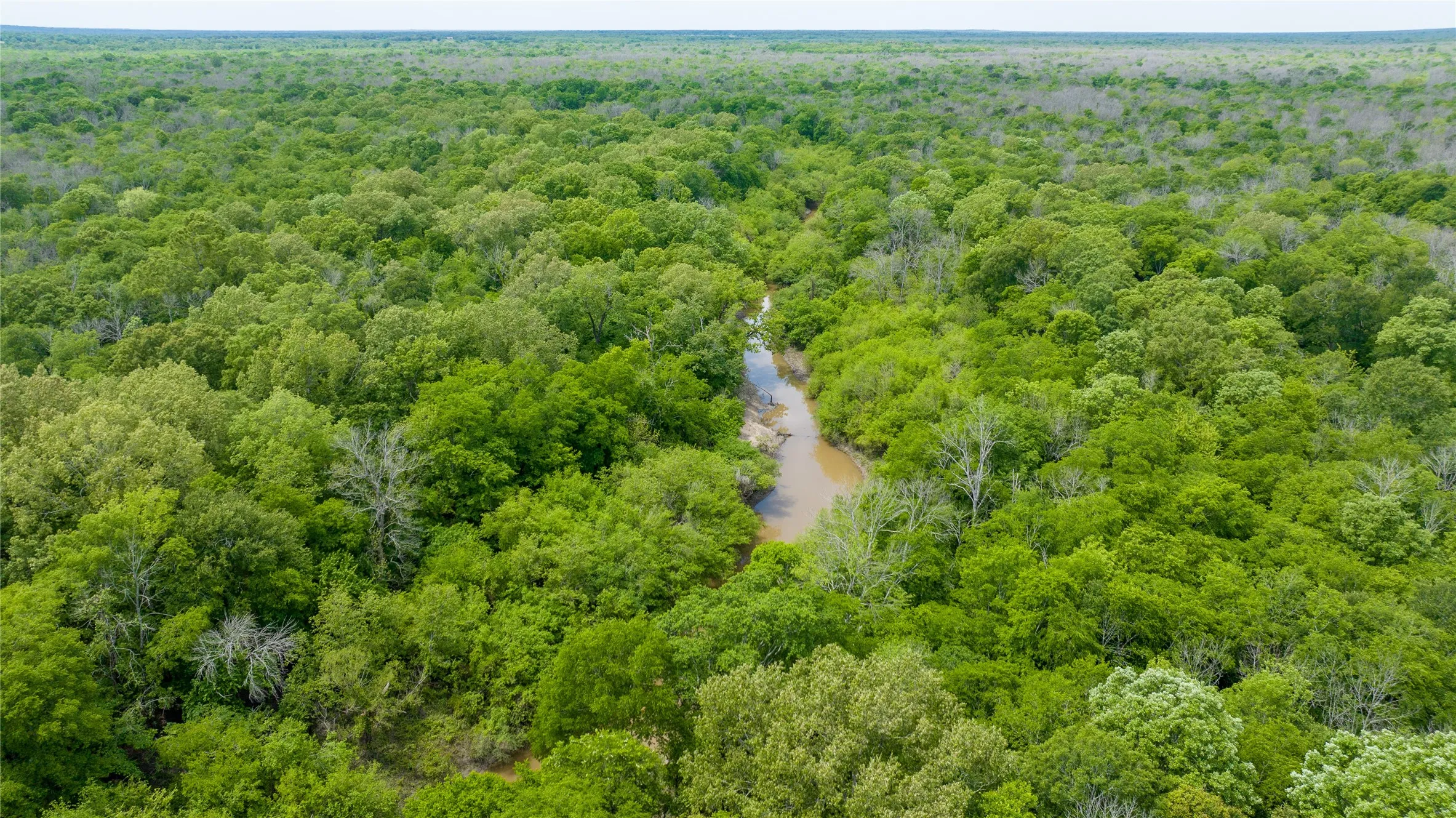 Unimproved Land For Sale in Red River (TX) County , TBD CR 4630, Annona, Texas 75550, 0, 0, Garage spaces, 0 Sqft, built in 0, mls#21213247, Real Estate Agent in Annona, Homes For Sale in Red River (TX) county, Homes For Sale in Annona, Realtor in Annona Texas, Real Estate Brokerage Independent Realty Texas, Luminita Cordes Realtor