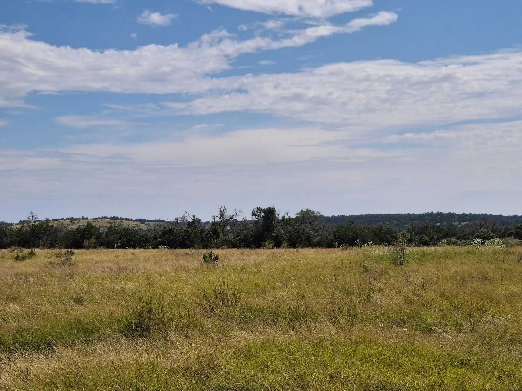 Unimproved Land For Sale in Gillespie County , 7523 N Grape Rd, Fredericksburg, Texas 78624, 0, 0, Garage spaces, 0 Sqft, built in 0, Price $375,000, mls#21213330, Real Estate Agent in Fredericksburg, Homes For Sale in Gillespie county, Homes For Sale in Fredericksburg, Realtor in Fredericksburg Texas, Real Estate Brokerage Independent Realty Texas, Luminita Cordes Realtor