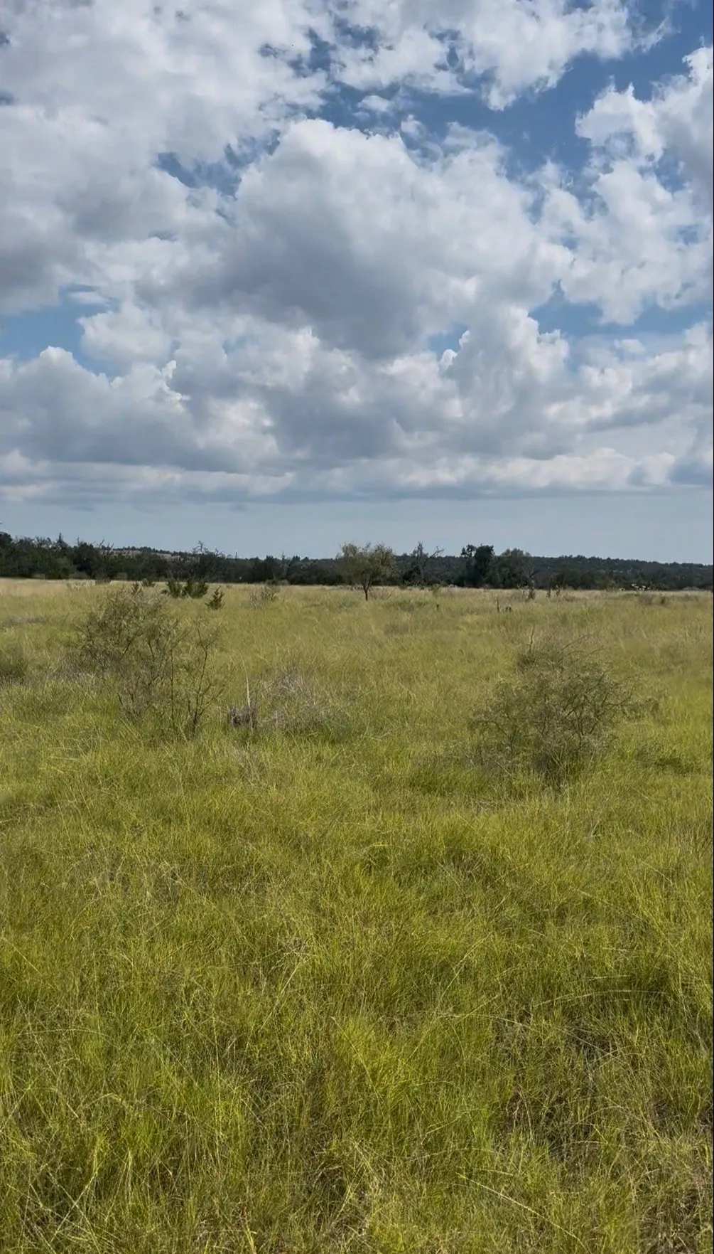Unimproved Land For Sale in Gillespie County , 7523 N Grape Rd, Fredericksburg, Texas 78624, 0, 0, Garage spaces, 0 Sqft, built in 0, Price $375,000, mls#21213330, Real Estate Agent in Fredericksburg, Homes For Sale in Gillespie county, Homes For Sale in Fredericksburg, Realtor in Fredericksburg Texas, Real Estate Brokerage Independent Realty Texas, Luminita Cordes Realtor