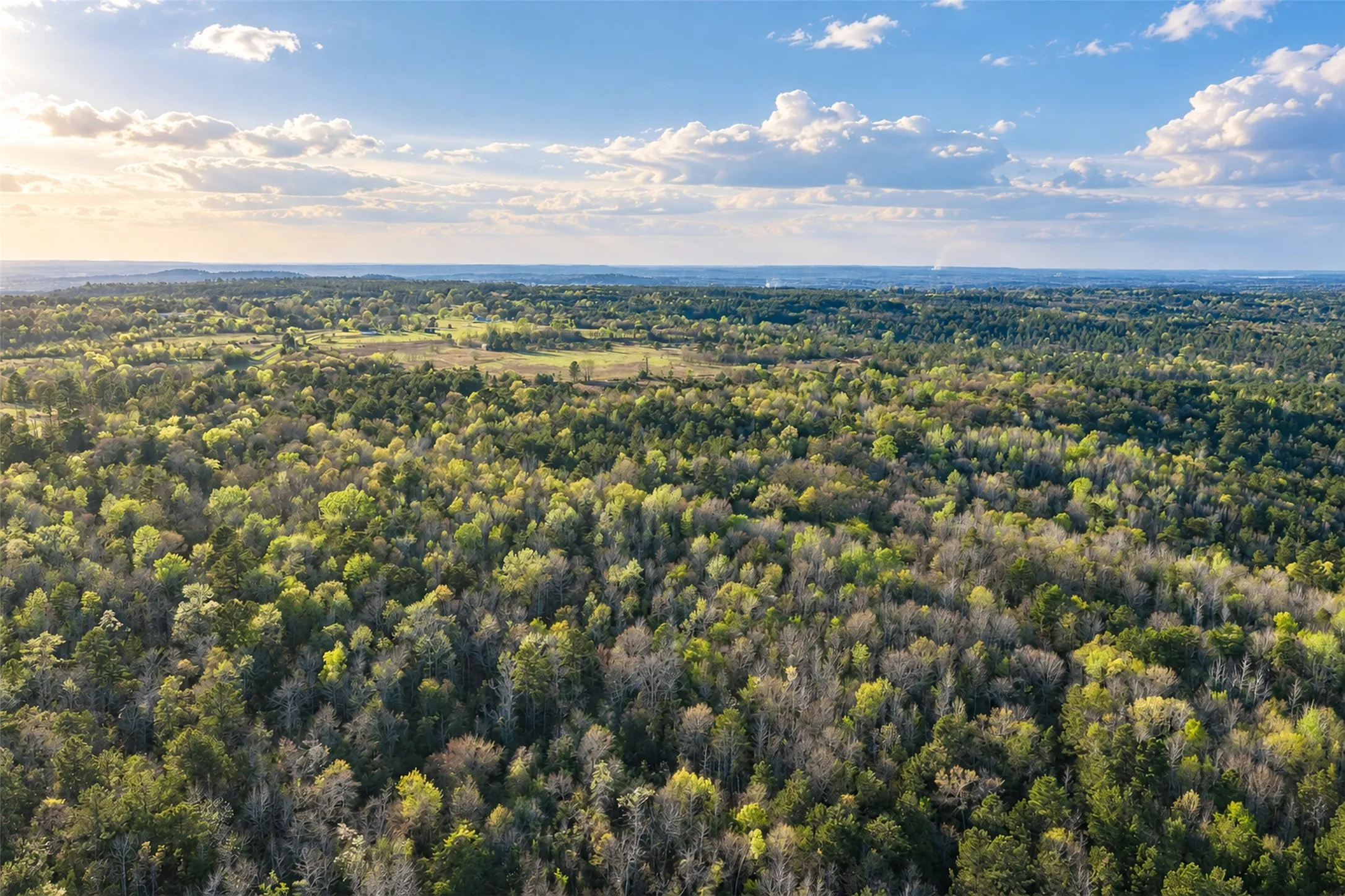 Unimproved Land For Sale in Cherokee County , 0 Farm to Market Road 747, Jacksonville, Texas 75766, 0, 0, Garage spaces, 0 Sqft, built in 0, mls#21213336, Real Estate Agent in Jacksonville, Homes For Sale in Cherokee county, Homes For Sale in Jacksonville, Realtor in Jacksonville Texas, Real Estate Brokerage Independent Realty Texas, Luminita Cordes Realtor